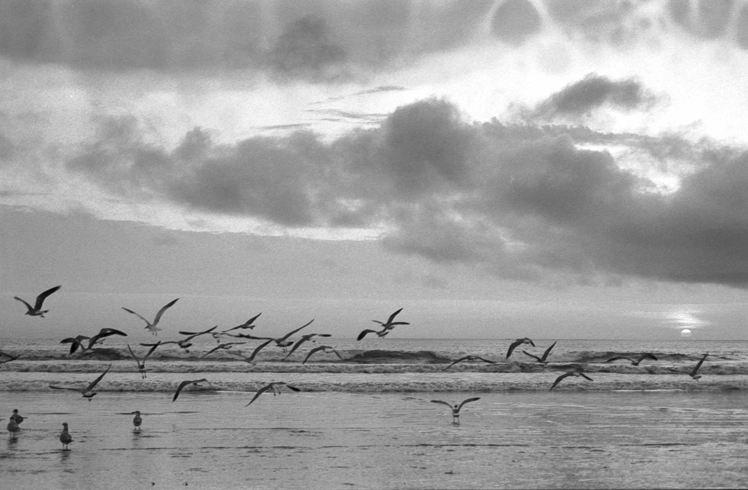 20240719-Image 16-3Colombia 35mm.jpg