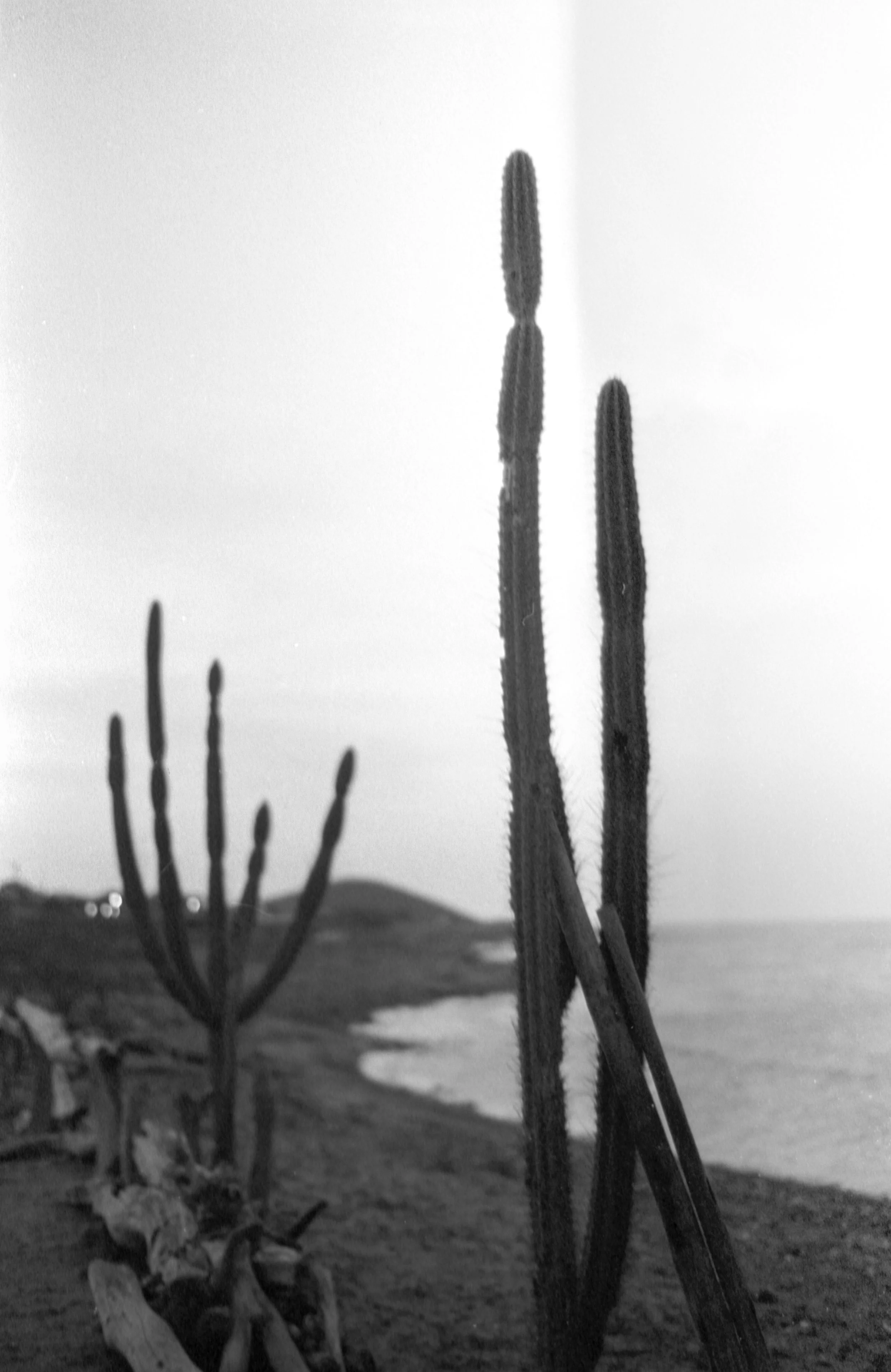 20240719-Image 41Colombia 35mm.jpg