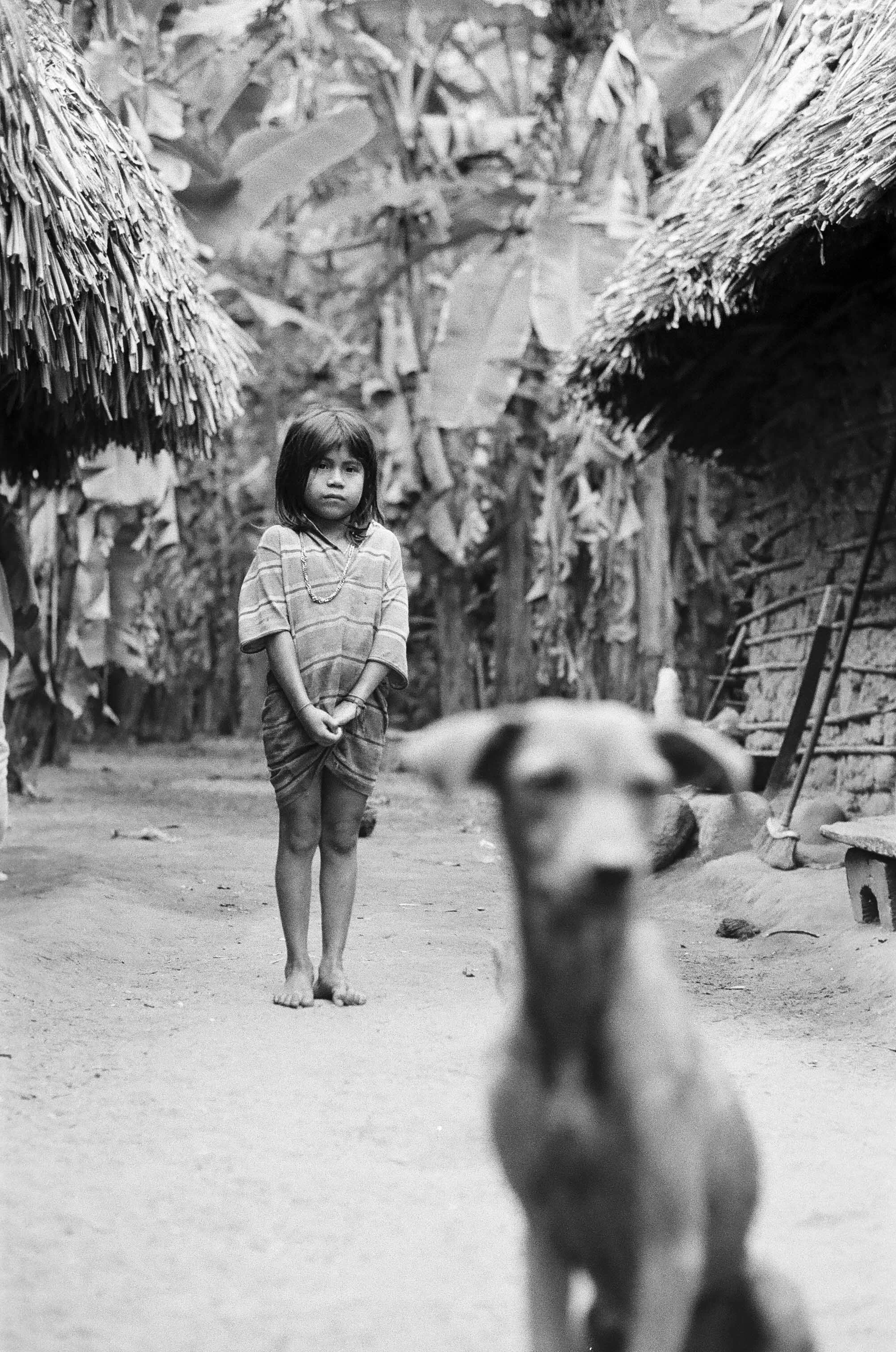 untitled-000001280016Colombia 2025.jpg