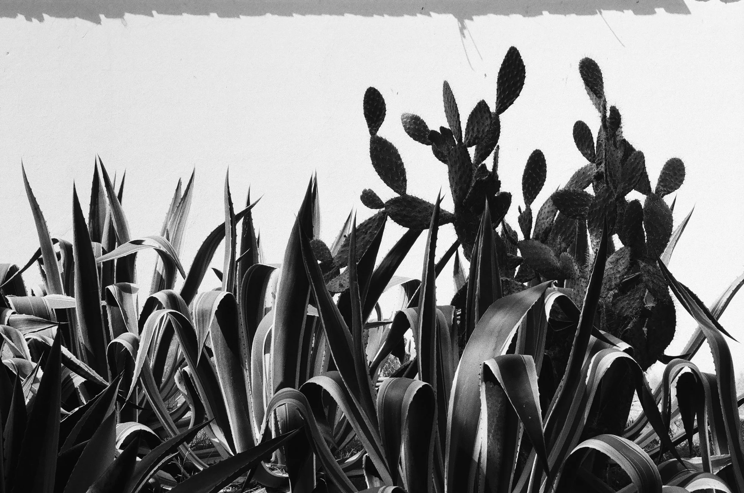 untitled-000001310016Colombia 2025.jpg