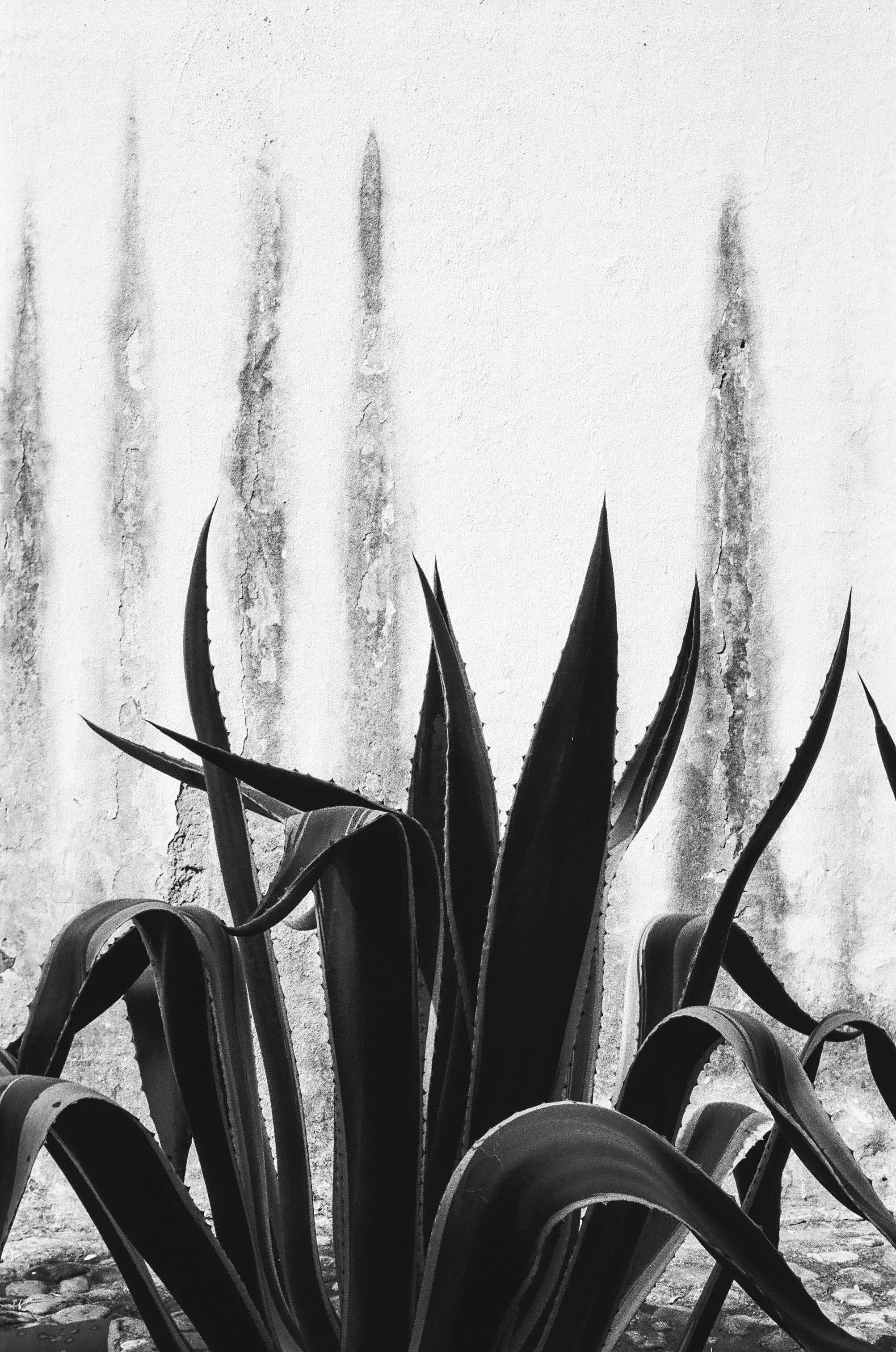 untitled-000001310017Colombia 2025.jpg