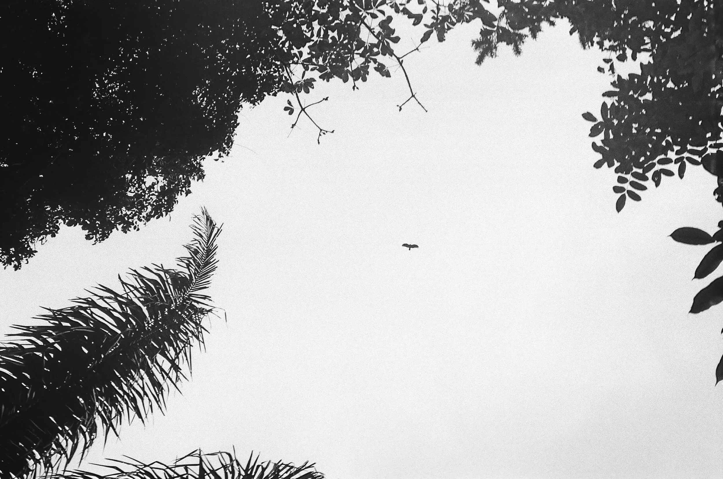 untitled-000001320018Colombia 2025.jpg