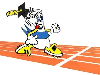 Run Rhodie on track.JPG