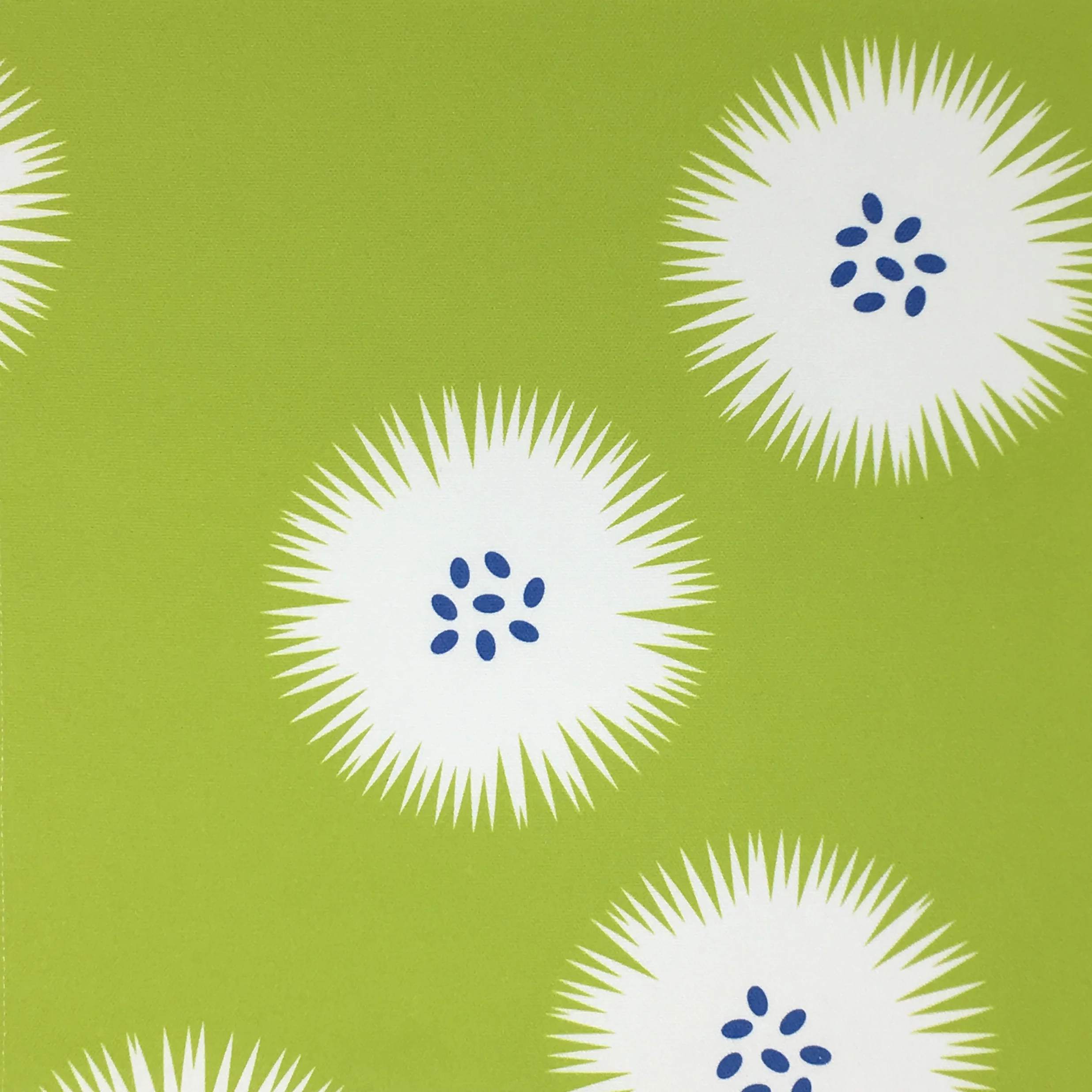 seed_puff_green_blue.jpg