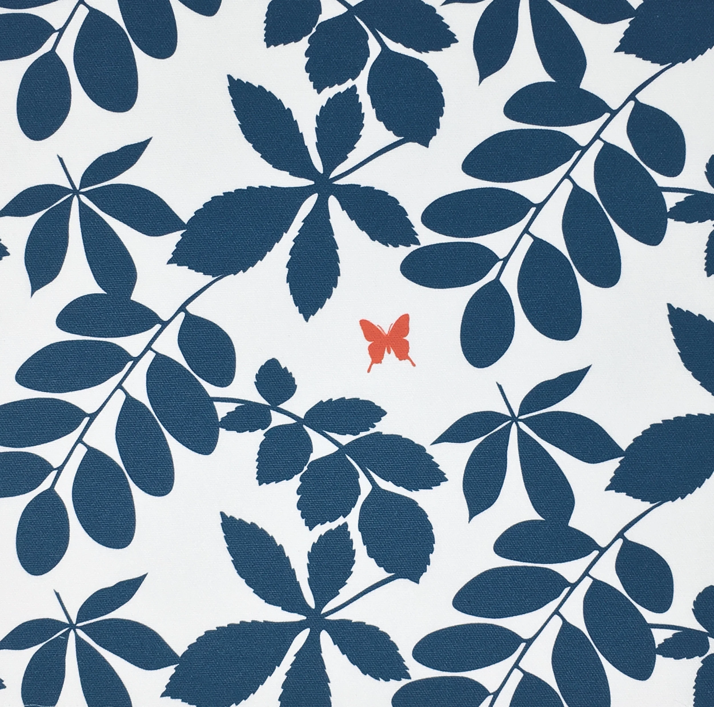 bug_leaf_navy_poppy.jpg