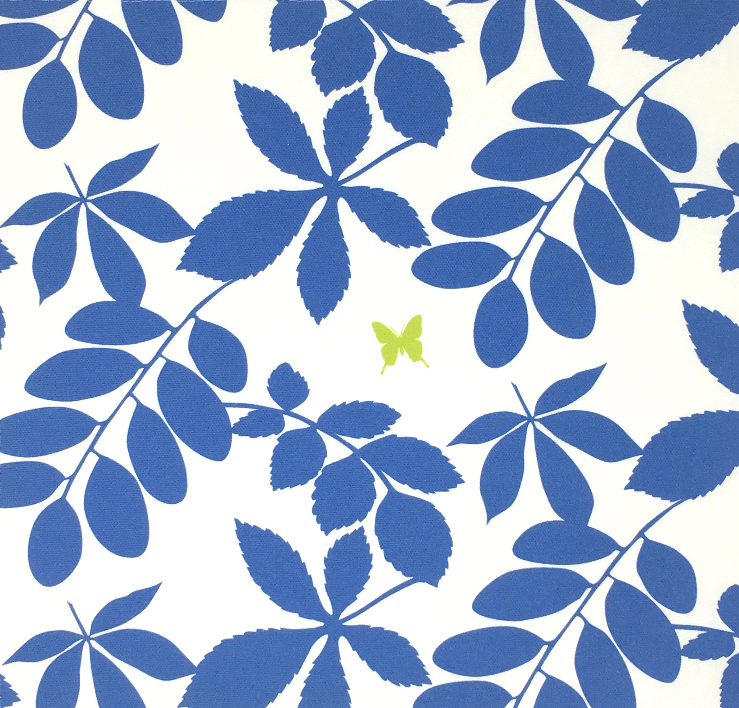 Bug_leaf_blue_green.jpg