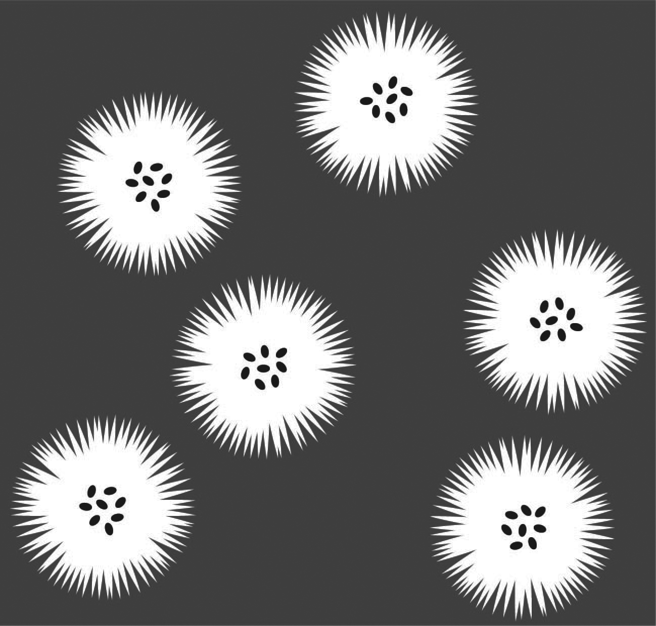 seed puff_B&Wrepeat.jpg