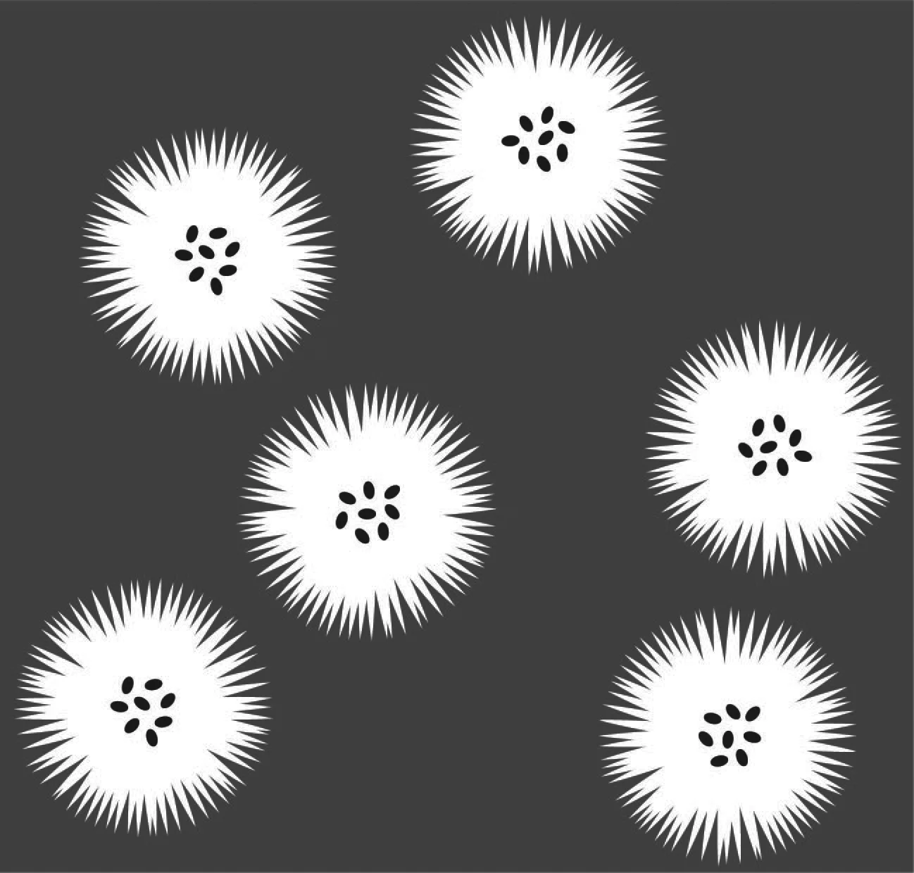 seed puff_B&Wrepeat.jpg