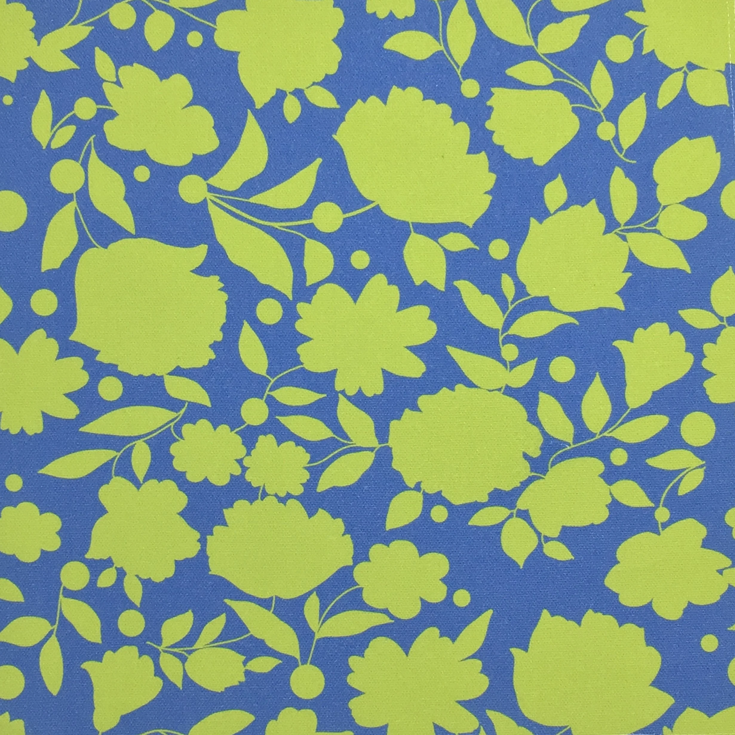silhouette_green_blue.jpg