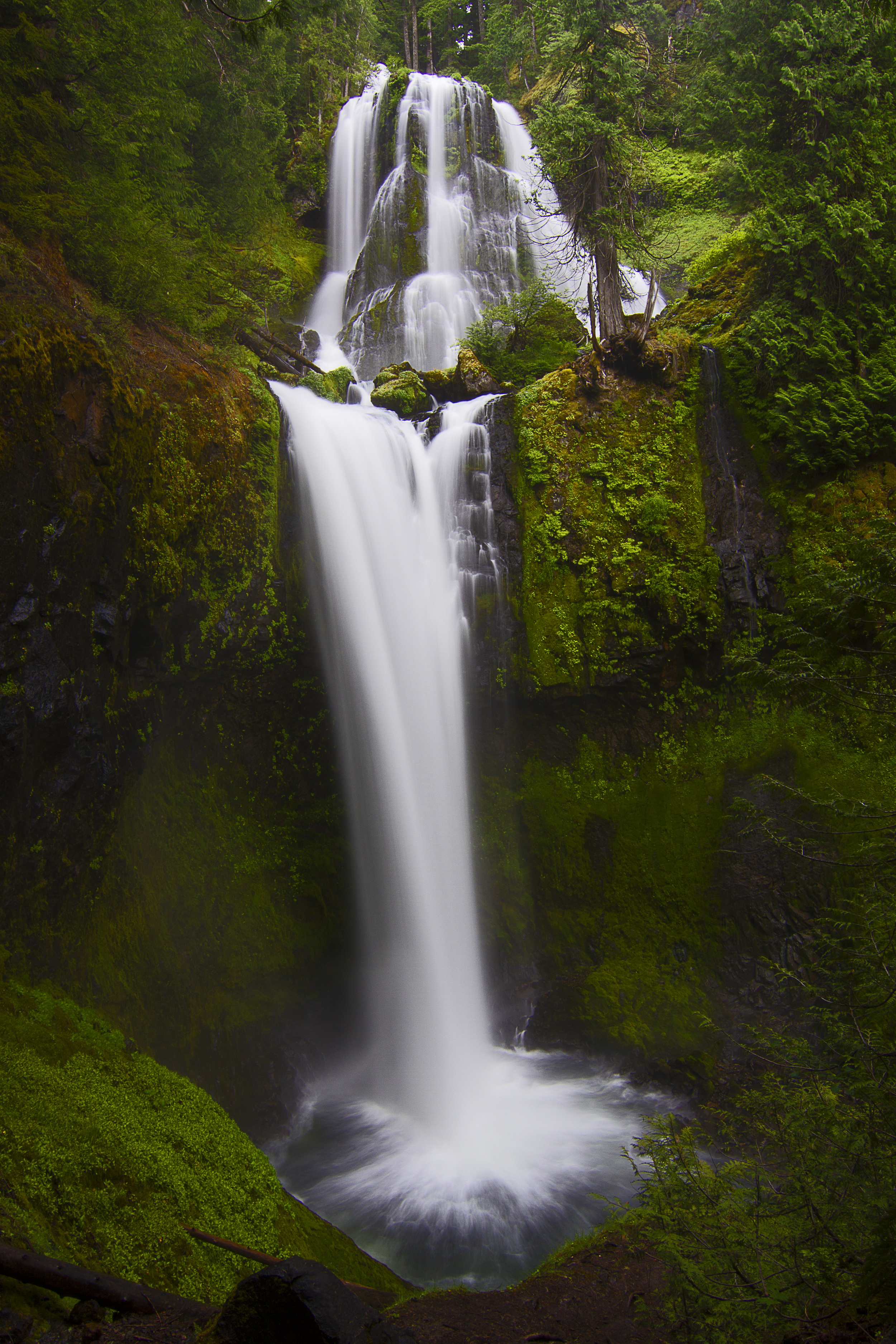 Falls Creek Falls, WA