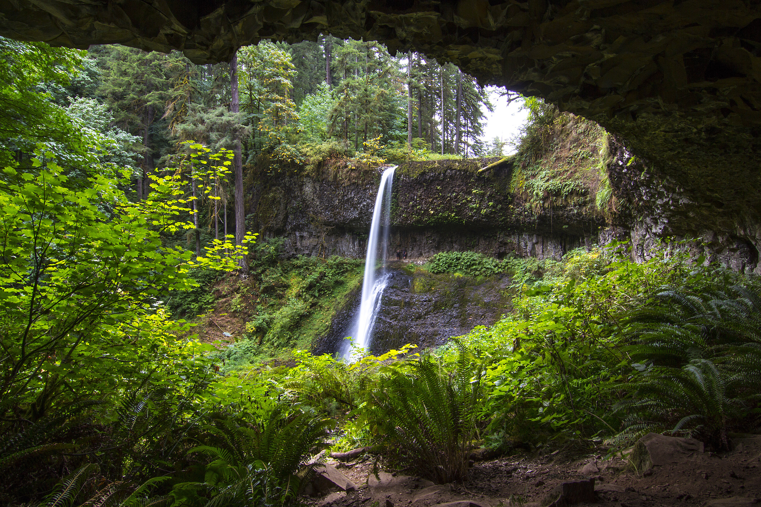 Silver Falls, OR