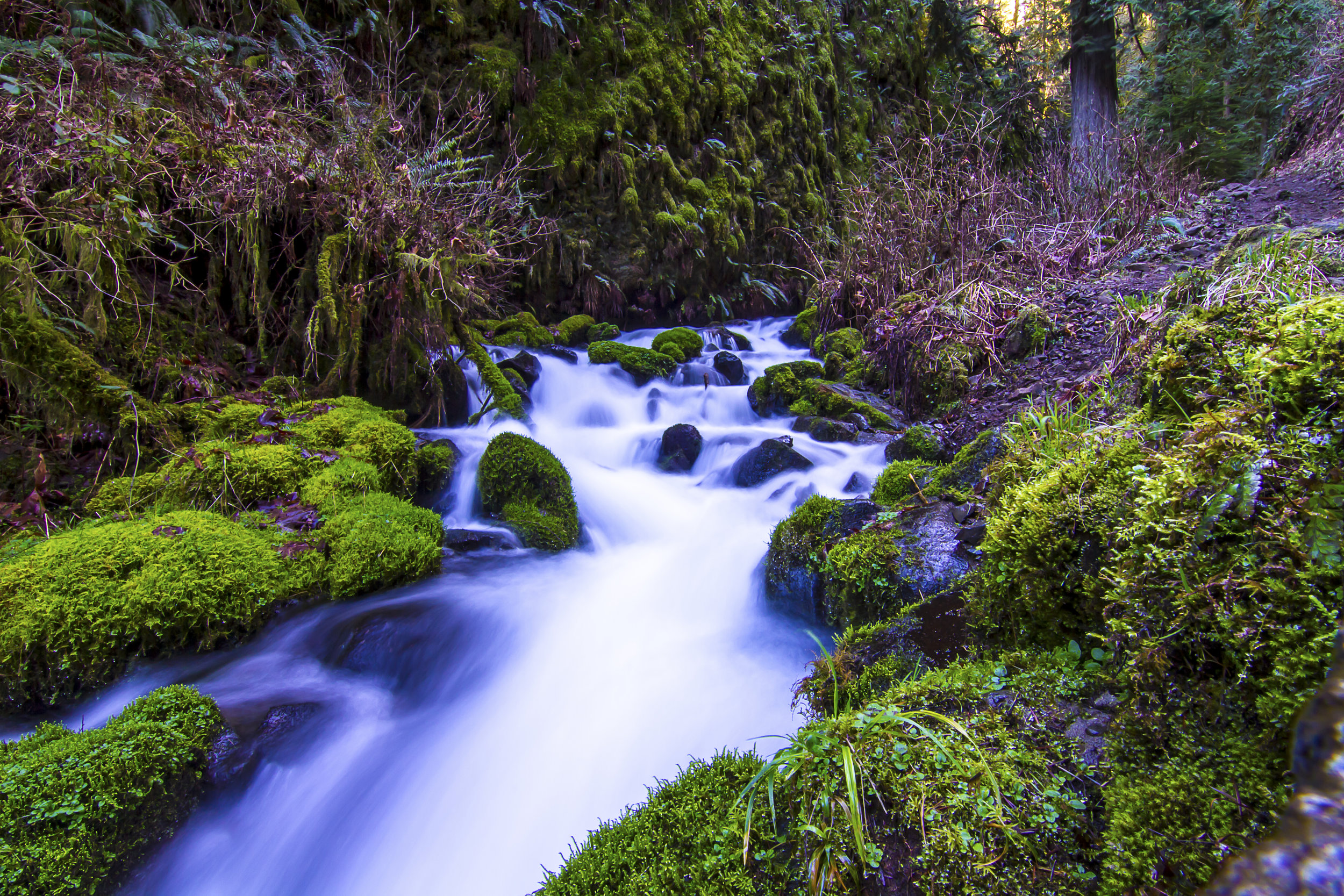 Bridal Veil Creek, OR