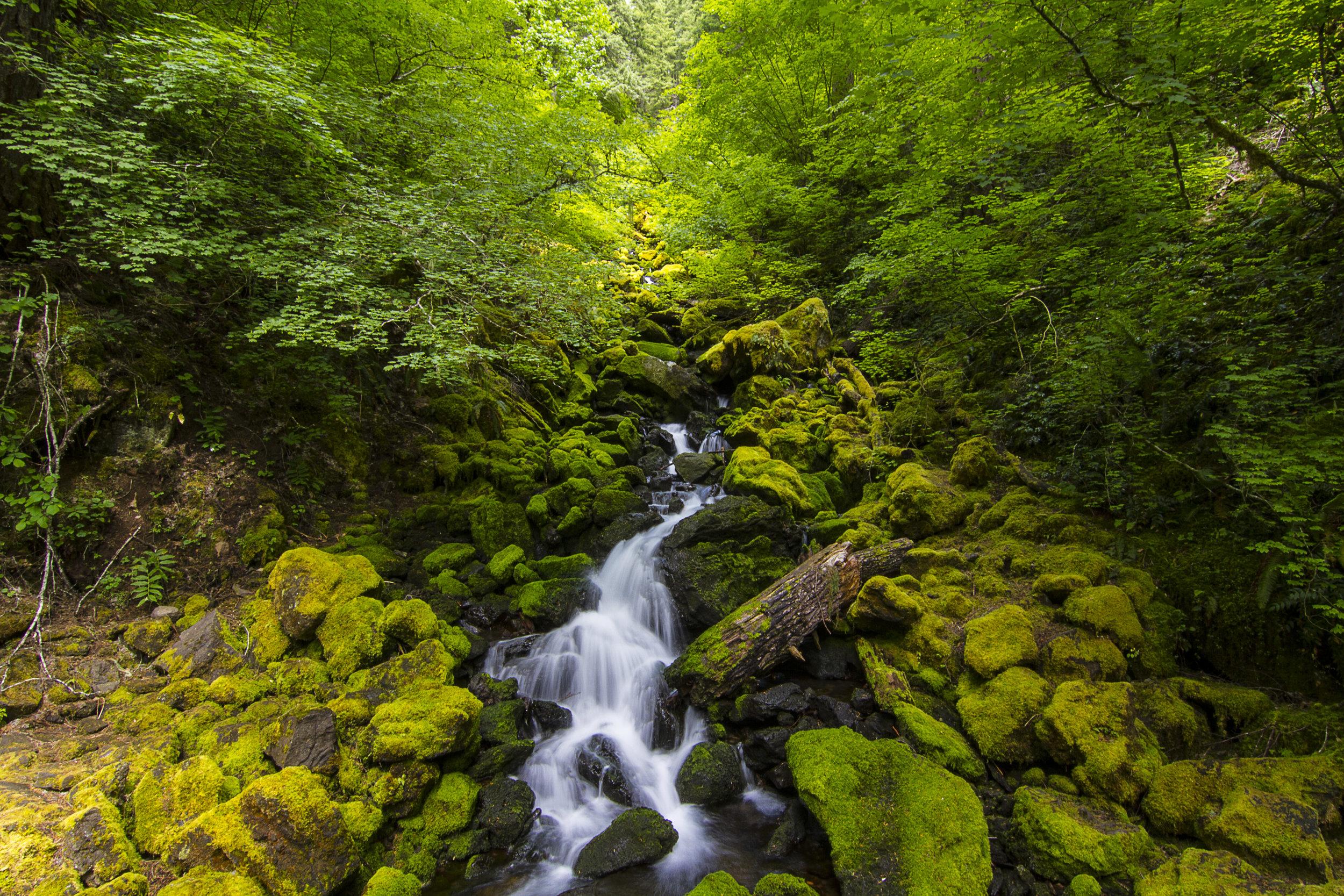 Falls Creek, OR