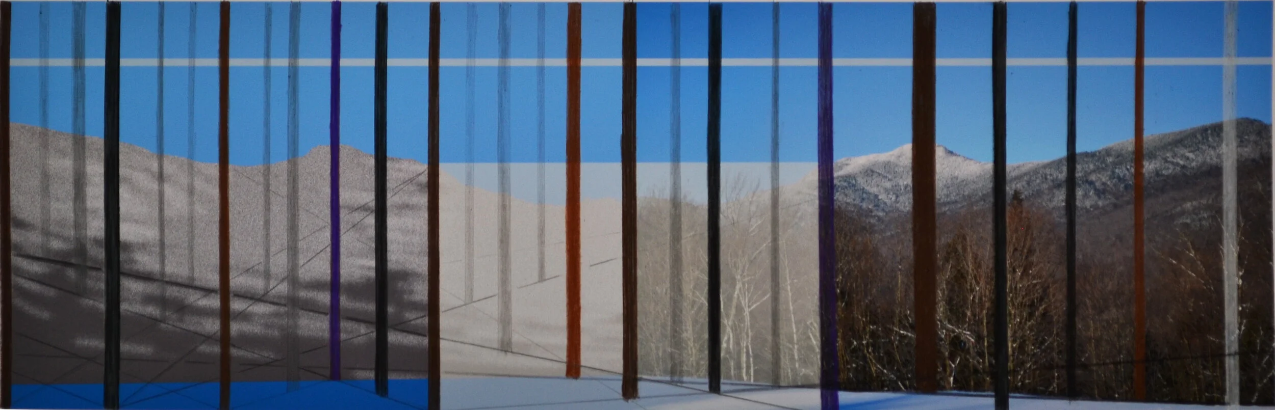 Trees1.jpg