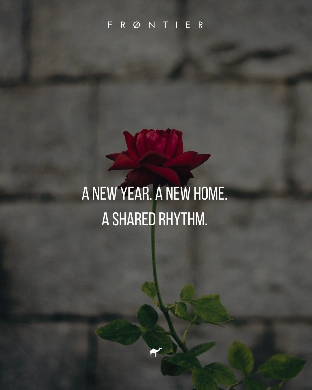 January 1 isn&rsquo;t about doing more.
It&rsquo;s about beginning again.

Today we&rsquo;re stepping into a shared season called "From Reset to Rhythm"&mdash;a way of practicing prayer, fasting, and simple rhythms together as we prepare fo