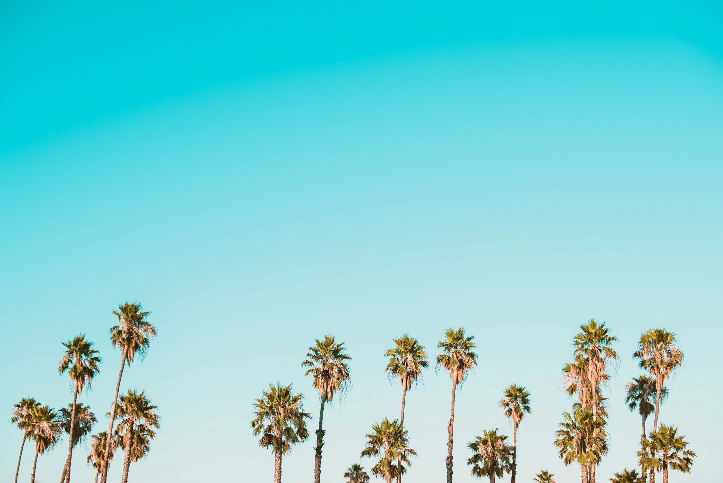 unsplash-image-5y4ljzRrDFA.jpg