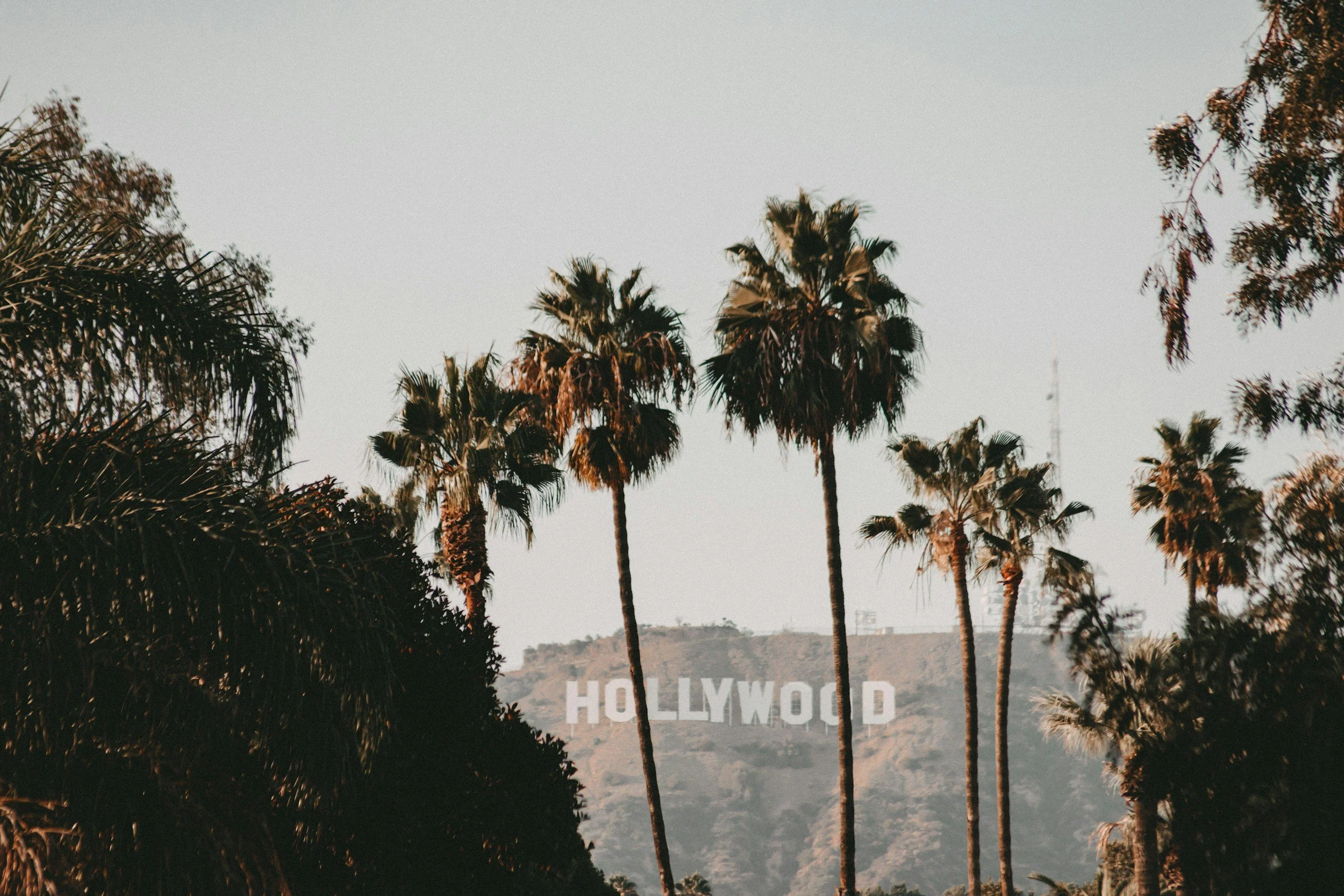 unsplash-image-u_VtEdDQYRw.jpg