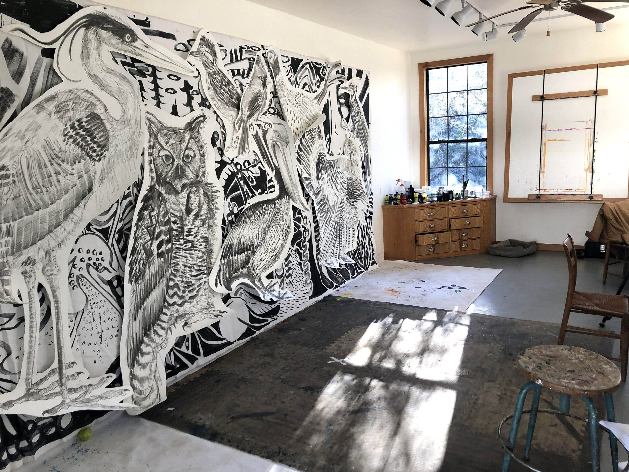studio.jpg