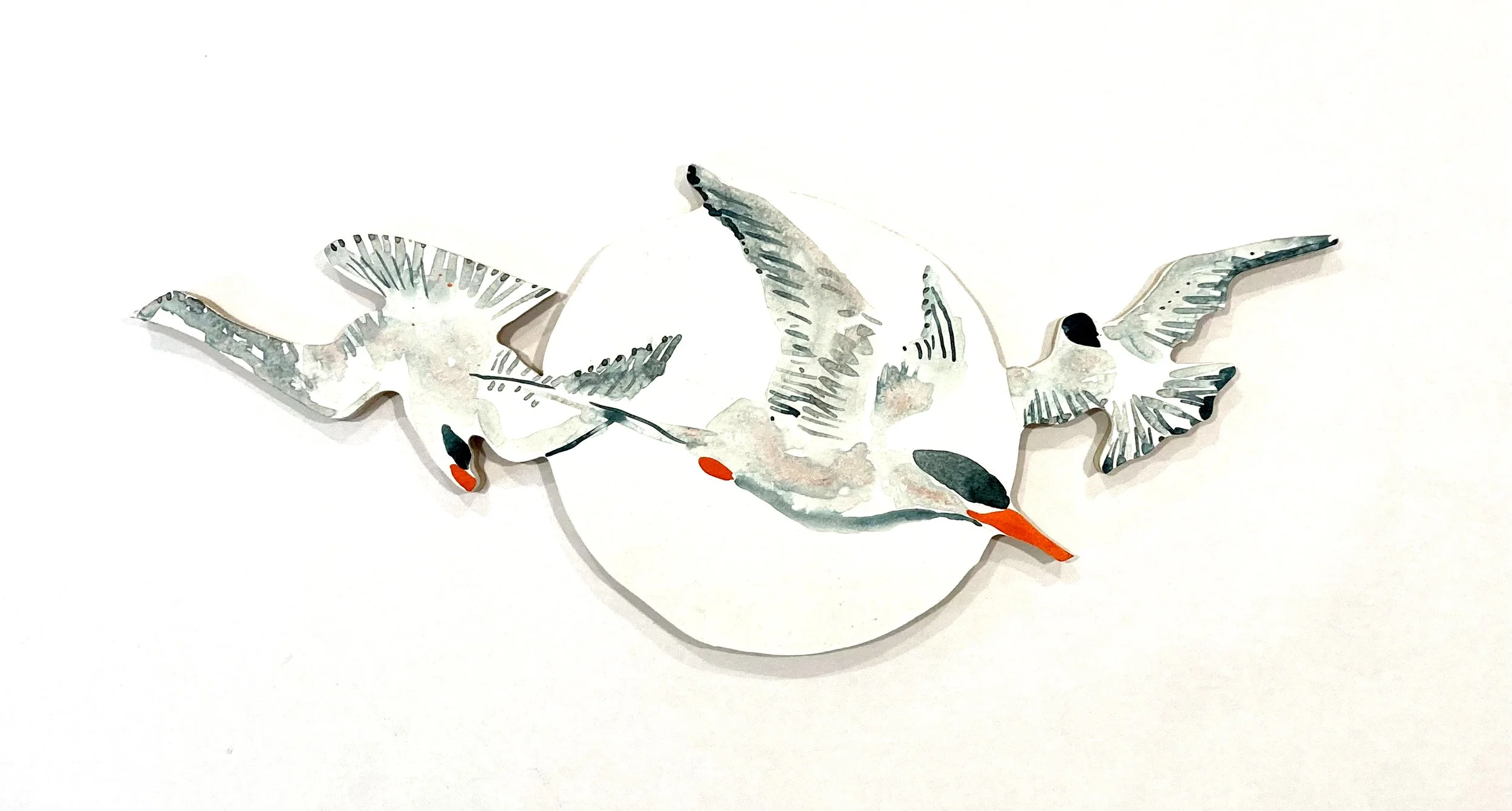 3 terns.jpg