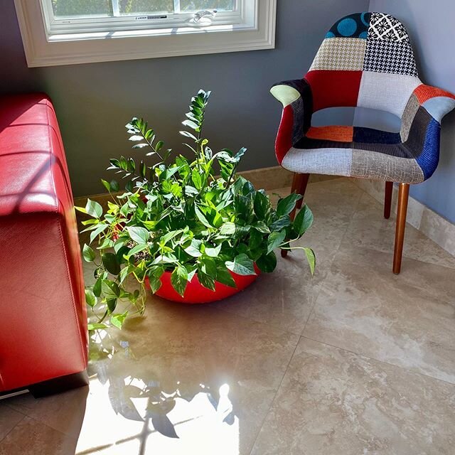 #mbdesignsbymaly#plans#redplanter#redsofa#colorfullchair#beautifullsunyday#