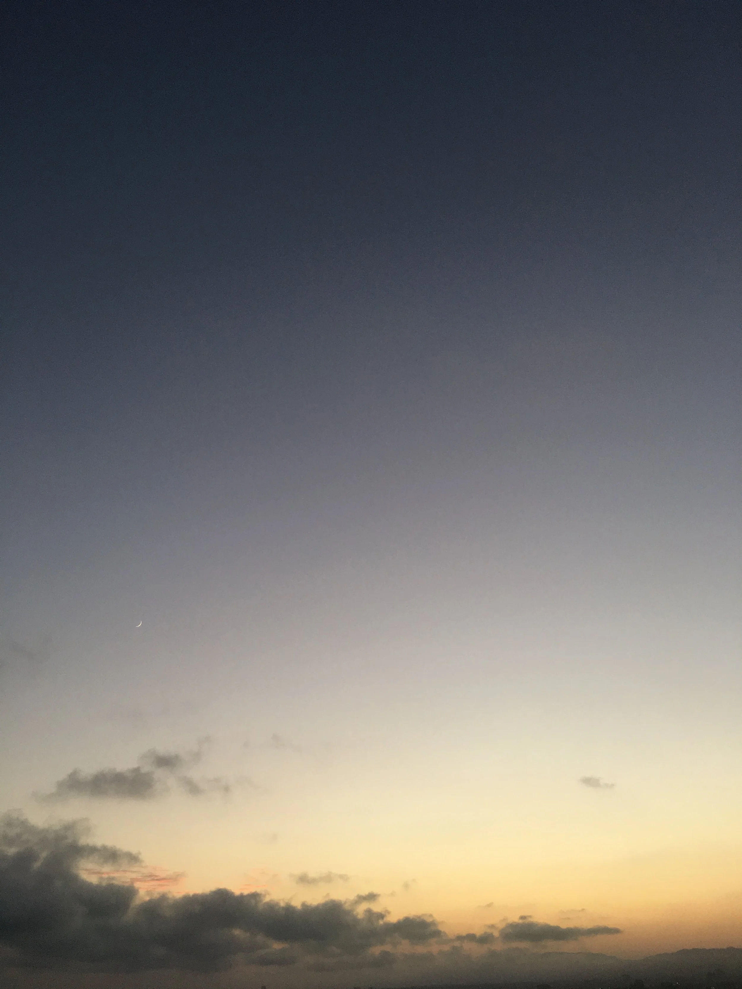 8/13/18. 7:53 PM. Sailor, Tobi Lou.