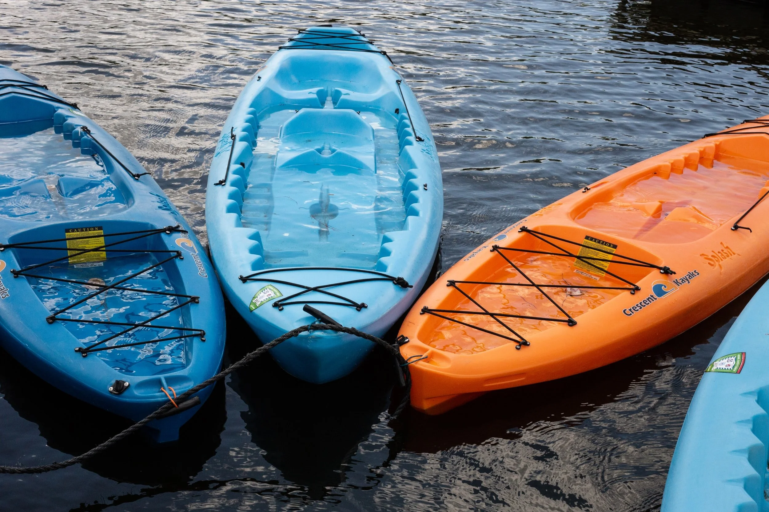 LAF on the Wildside HHI--Kayak Excursion Sibling Support (ages 10 and up)