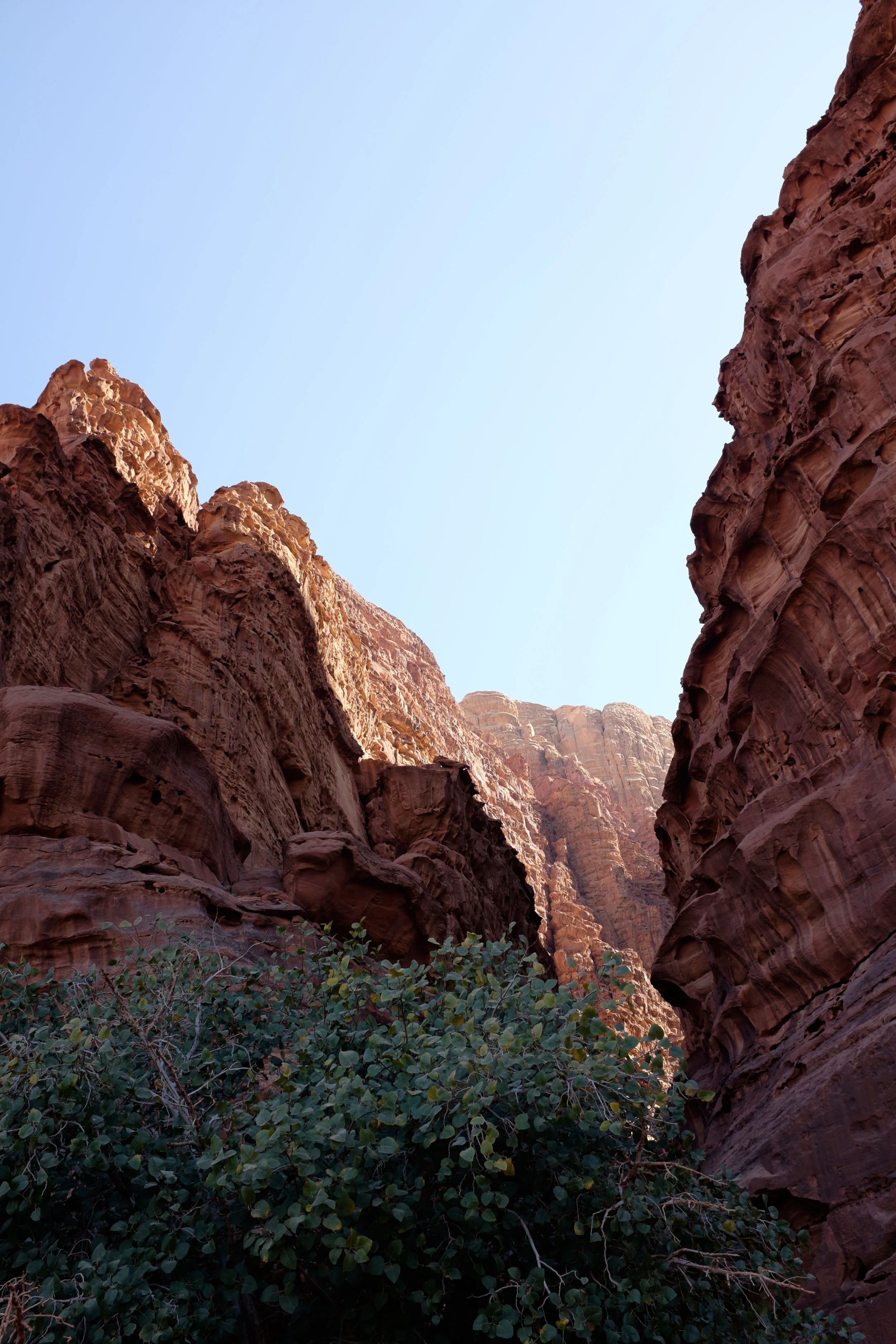 DSCF6780.jpg
