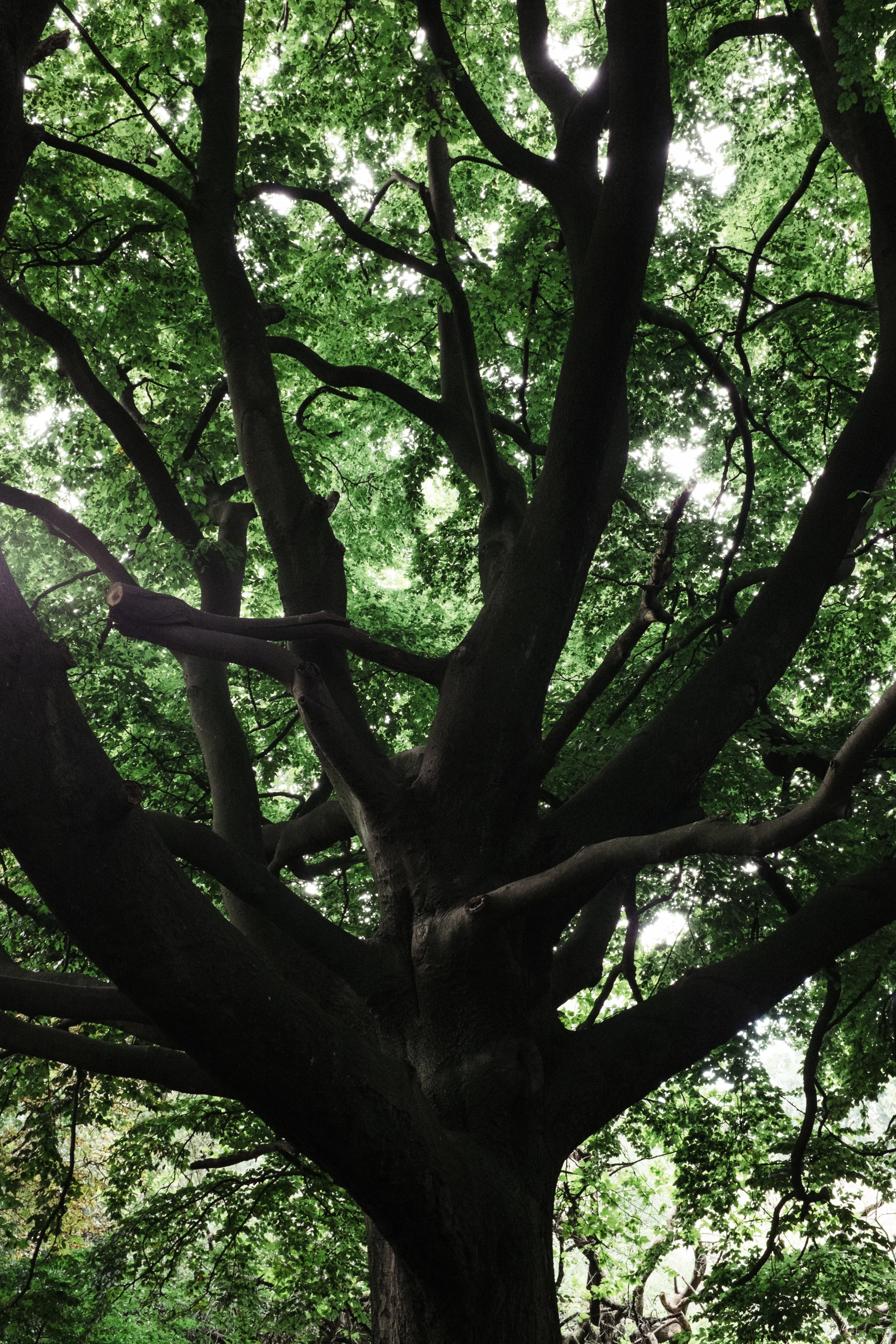 DSCF5578.jpg