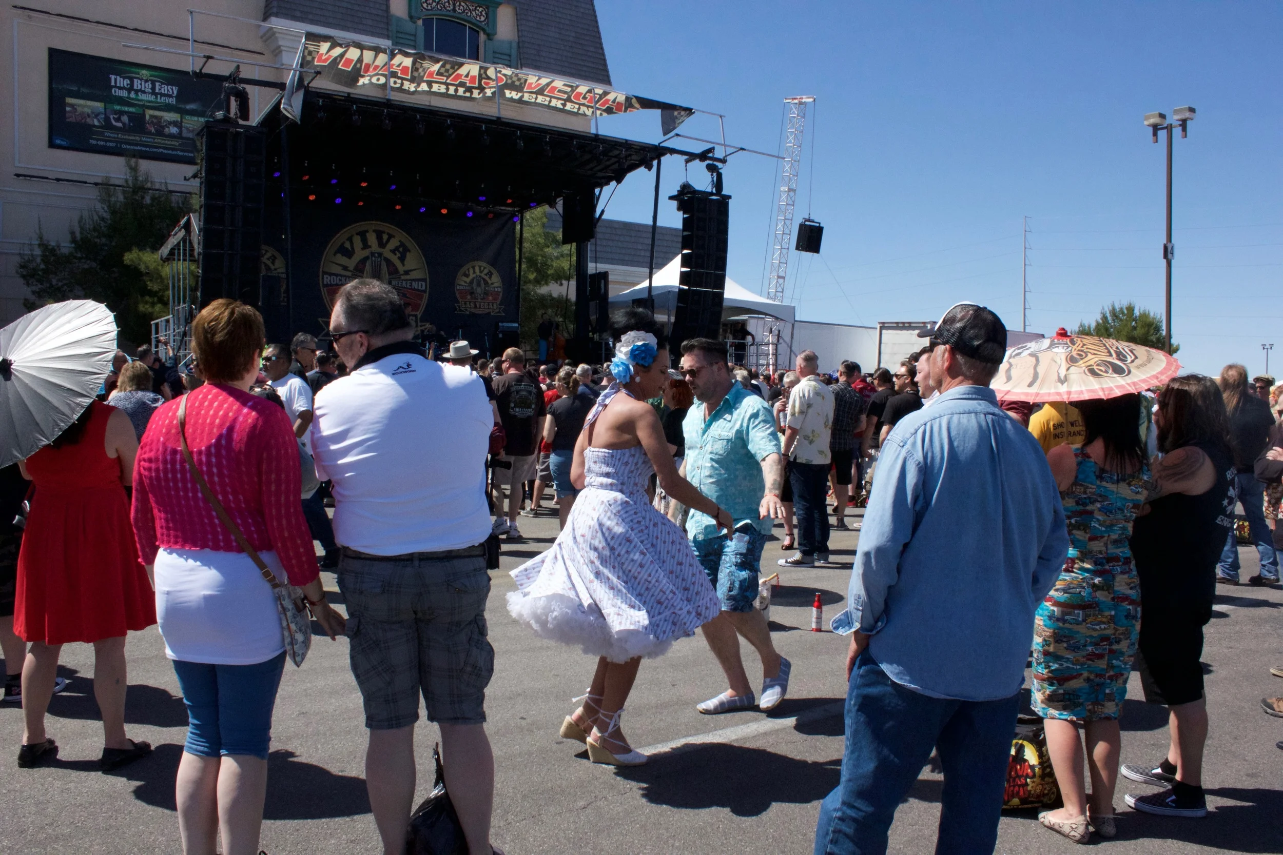 IMG_5384.jpg