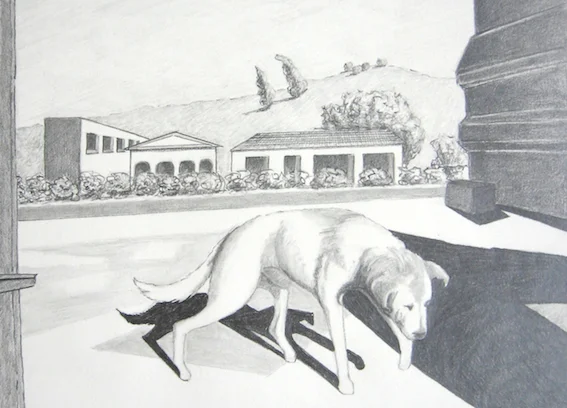 dog-walking1-SMALL.jpeg