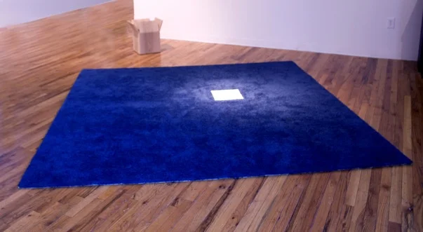 Milk in Carpet, 2010.jpg