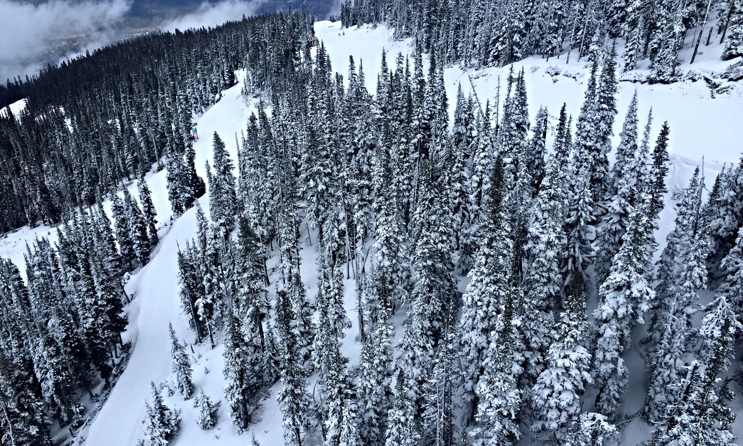 WHISTLER ... AGAIN!!