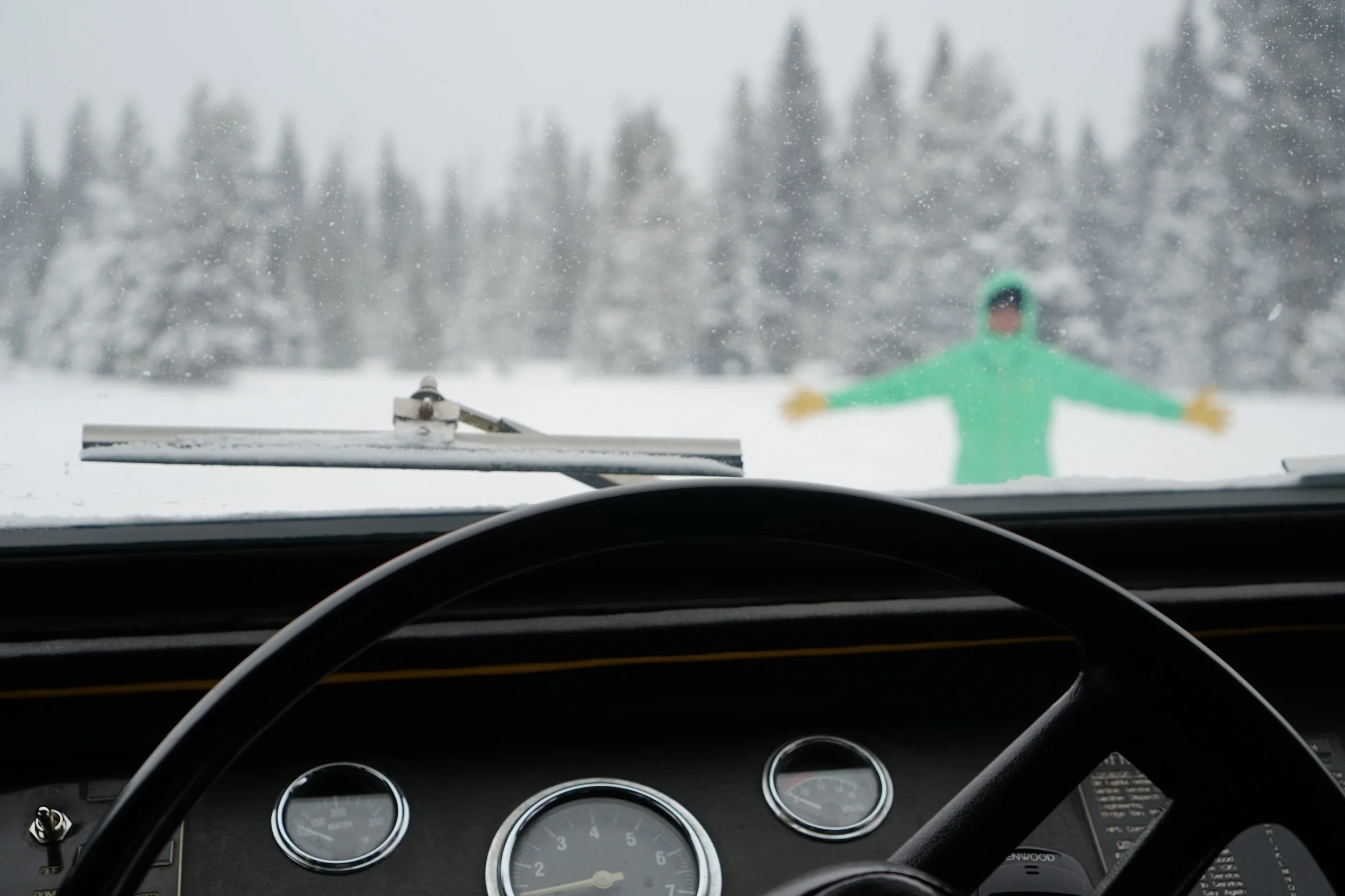 YELLOWSTONE NATIONAL PARK DAY 3