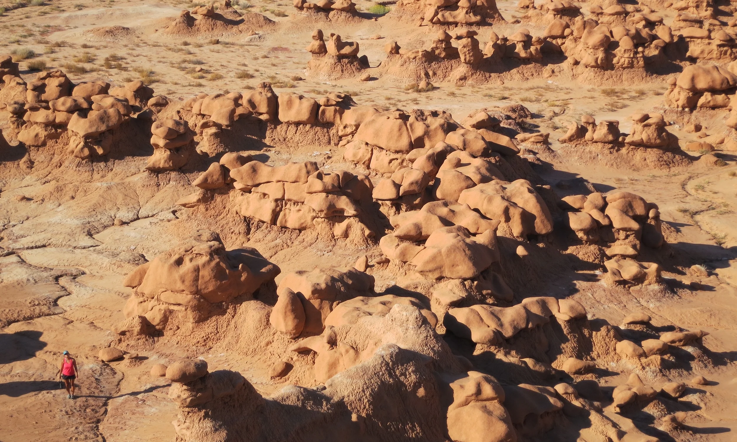 CAPITOL REEF NATIONAL PARK AND GOBLIN VALLEY STATE PARK