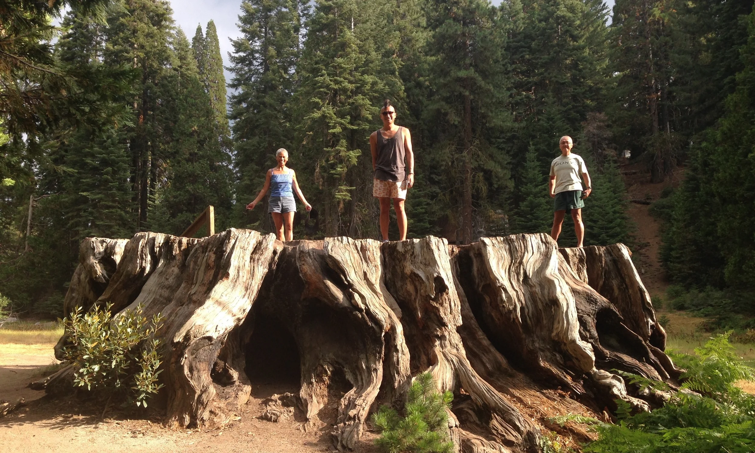 KINGS CANYON AND SEQUOIA NATIONAL PARKS