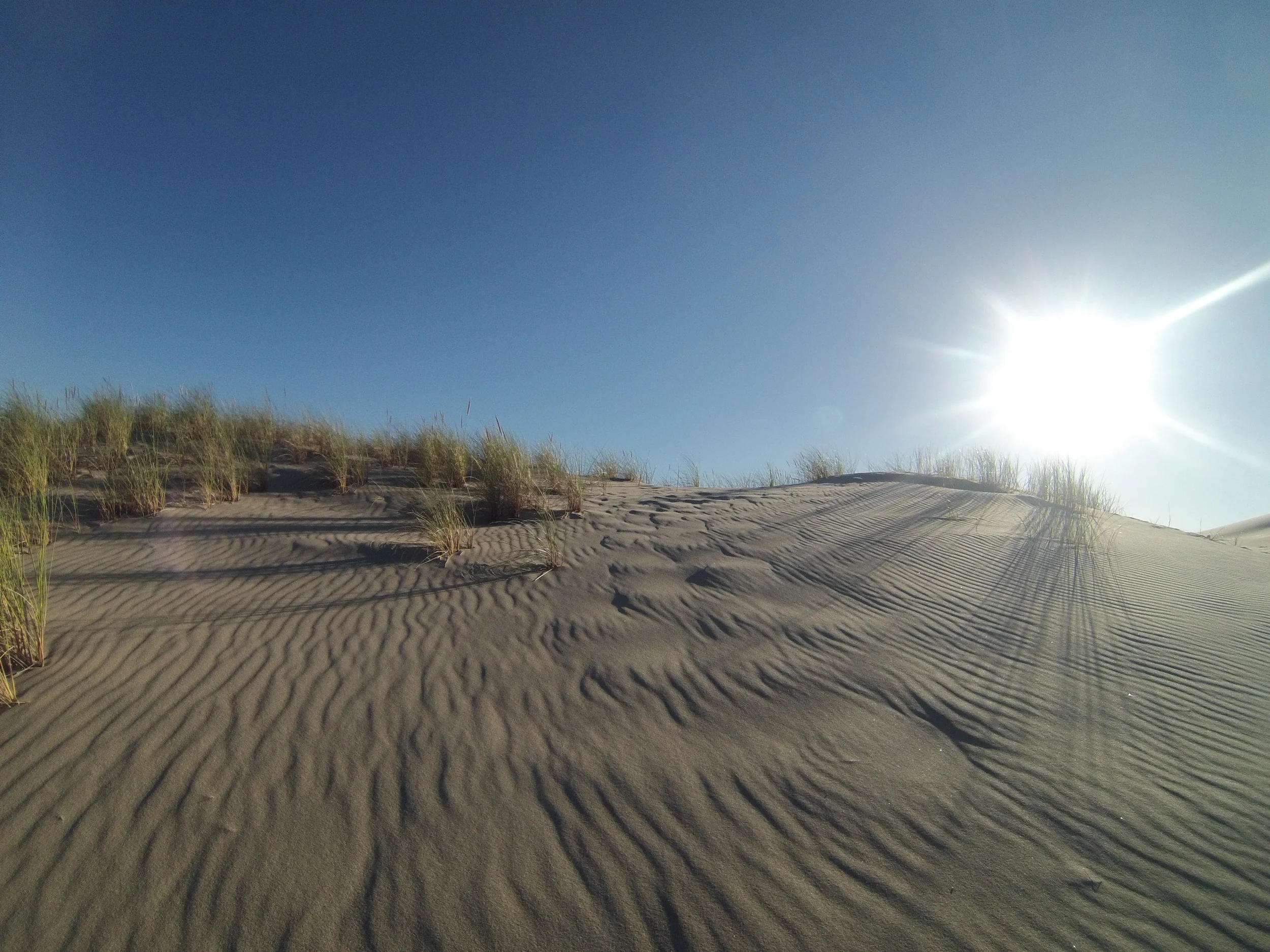 OREGON DUNES!