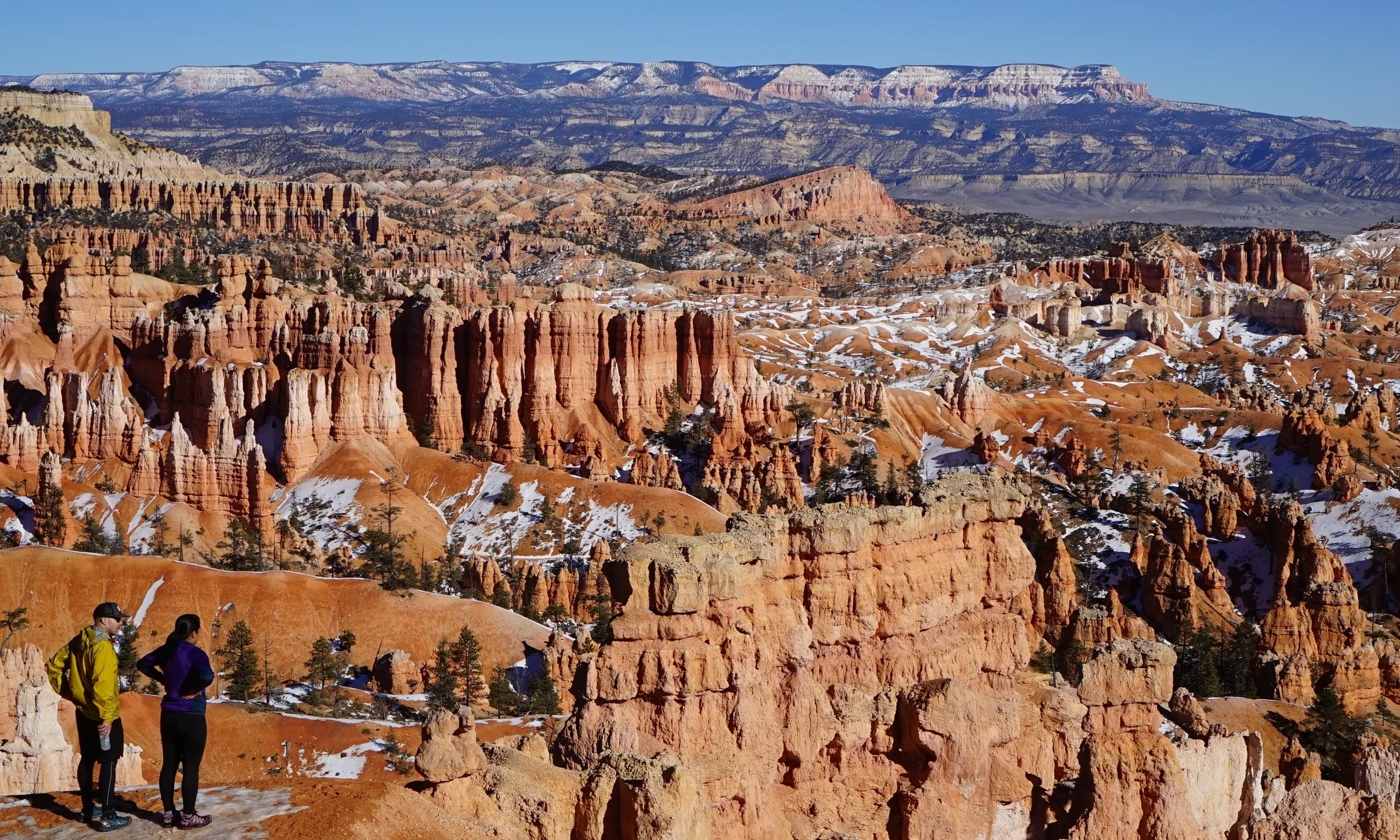 “I haven’t been everywhere, but it’s on my list” - Susan Sontag where are we now?