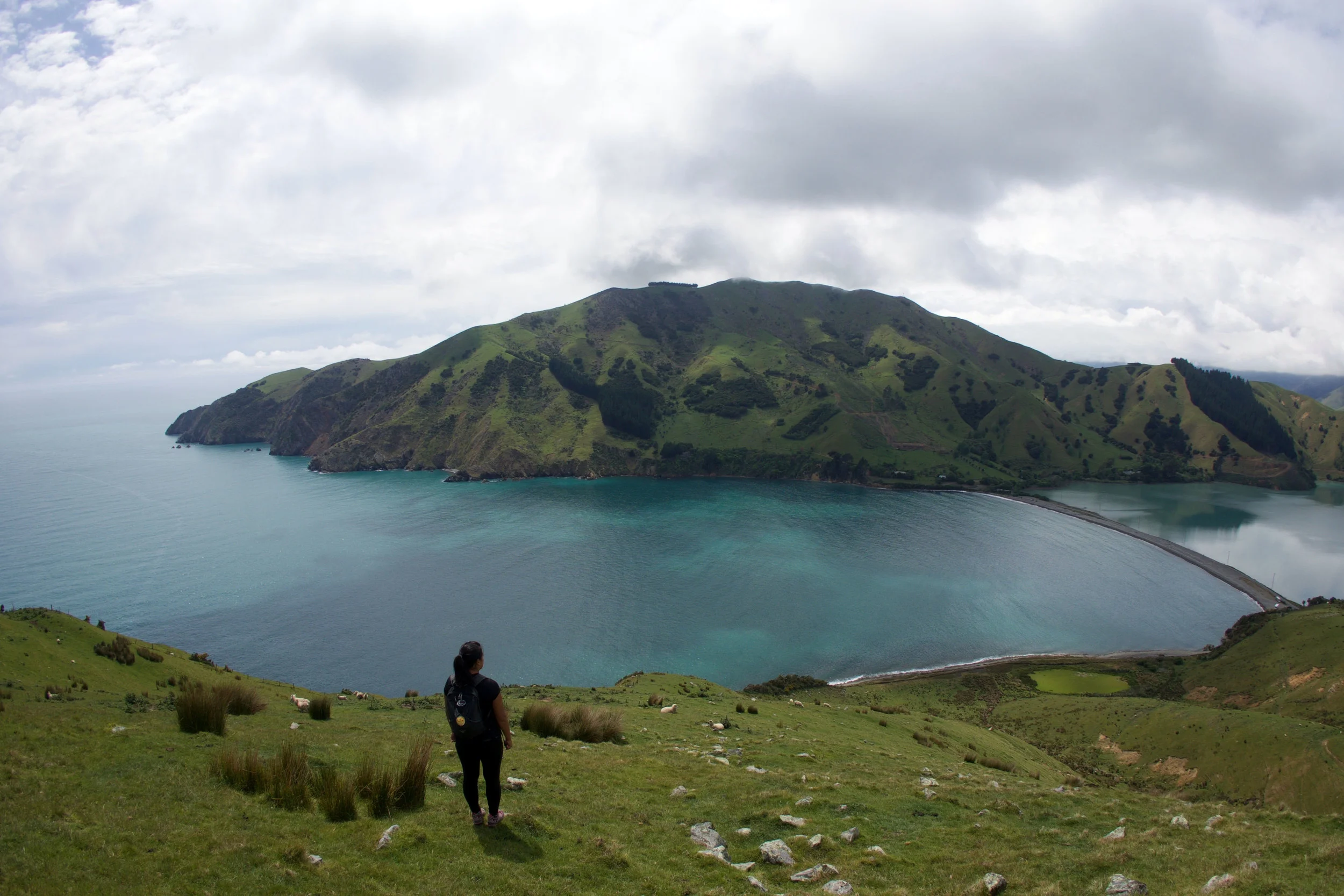 CABLE BAY AND THE MARLBOROUGH SOUNDS