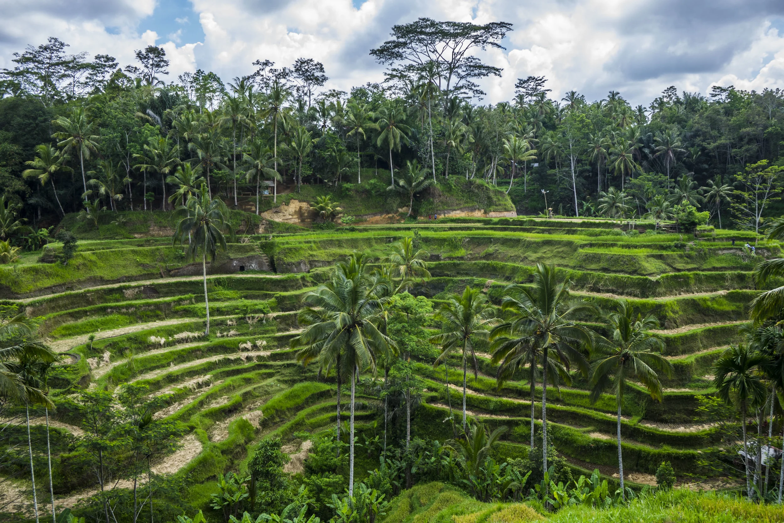 UBUD, BALI
