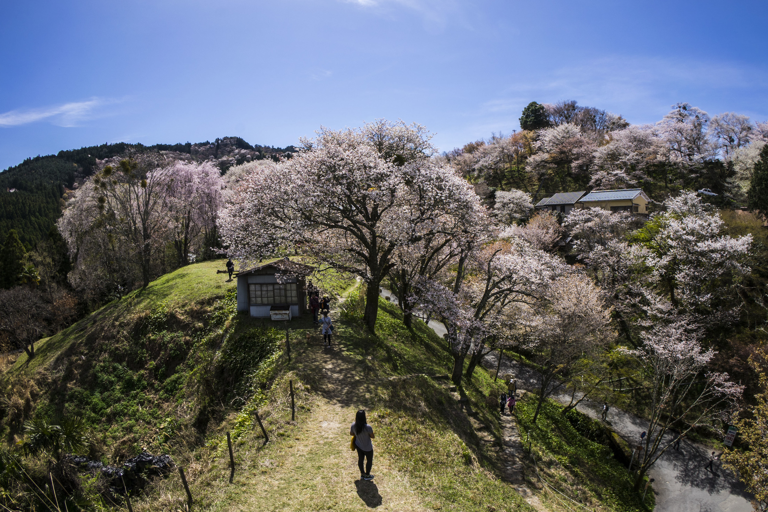 YOSHINO/NARA