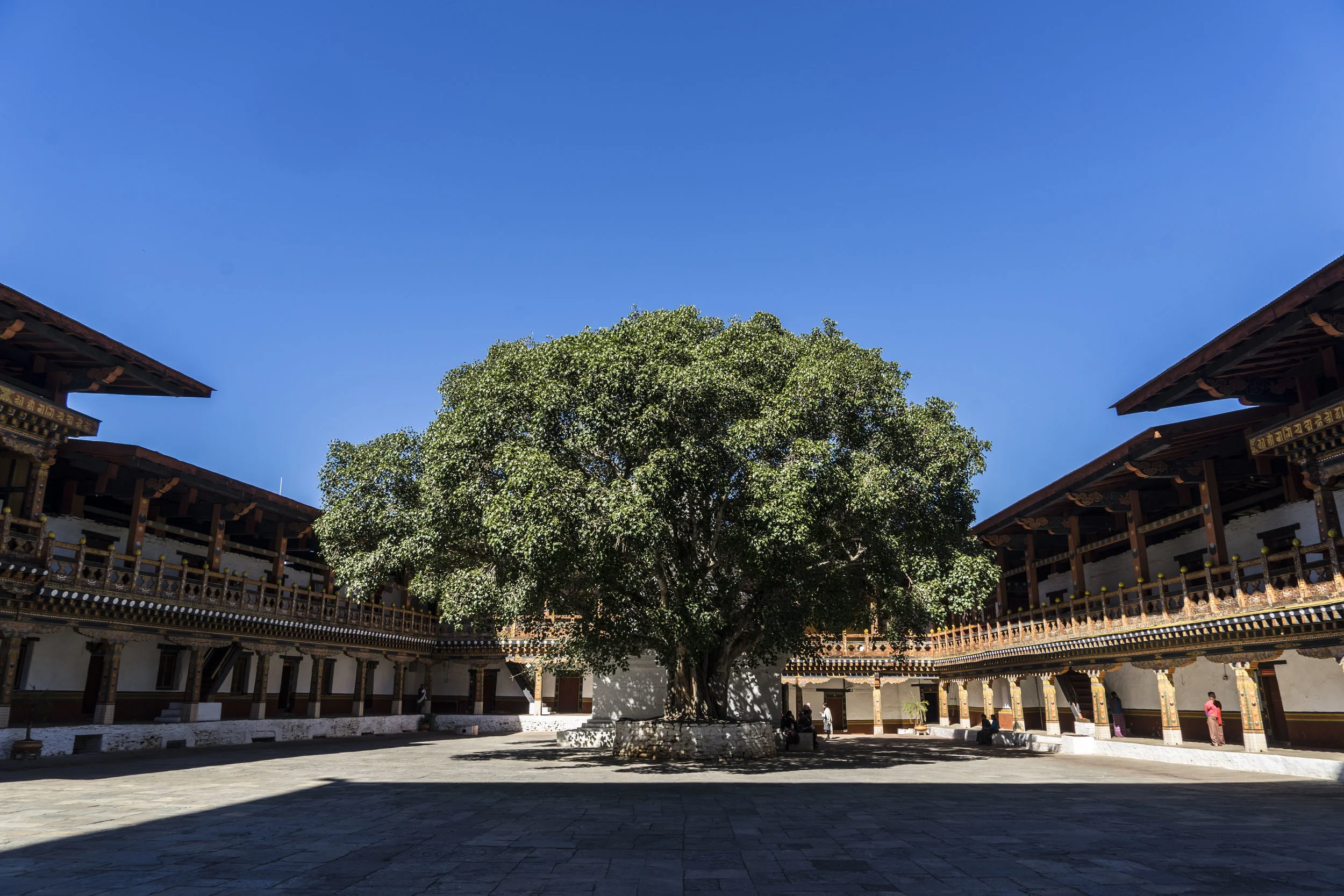 PUNAKHA