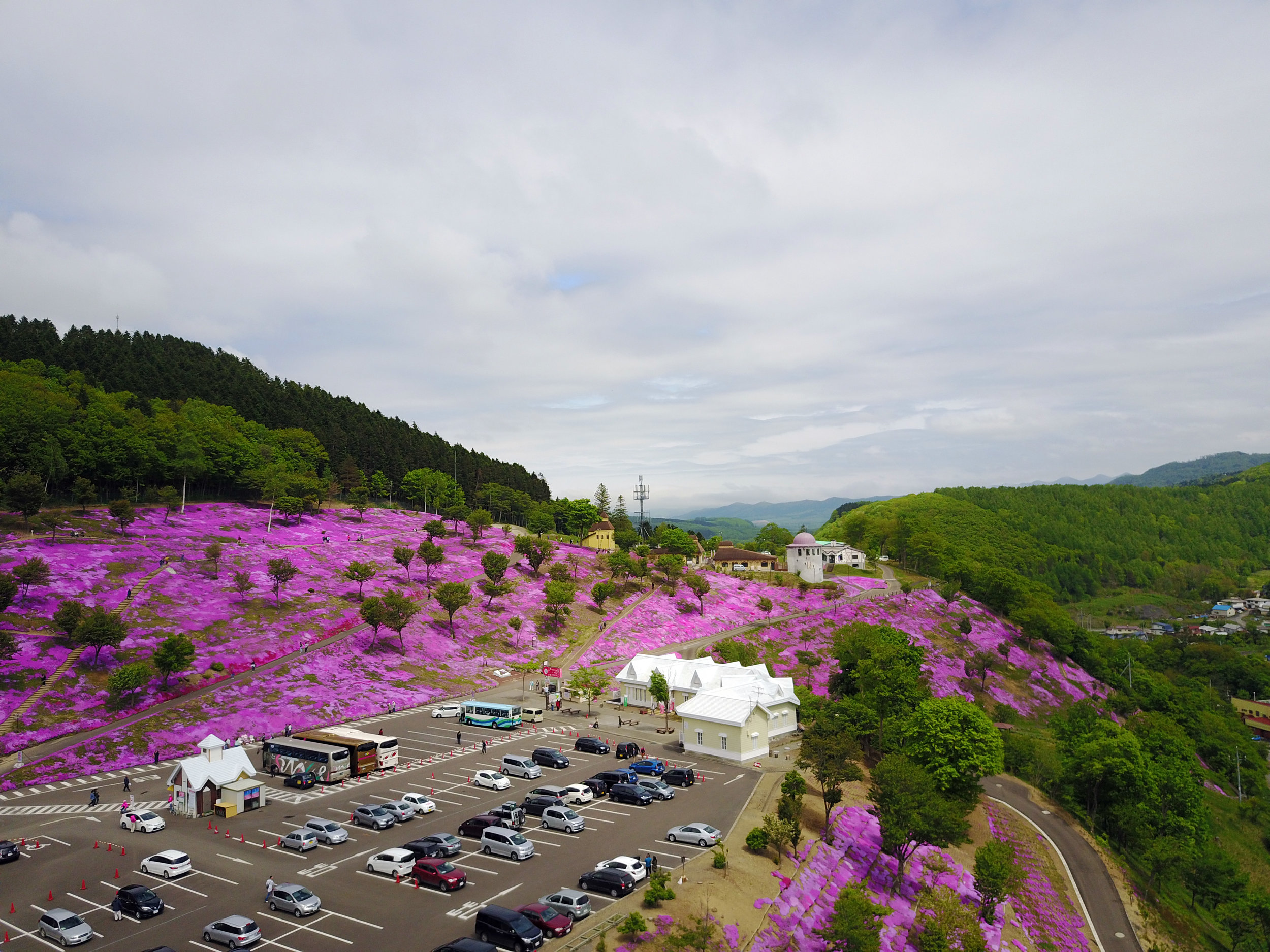 DJI_0073-1.jpg