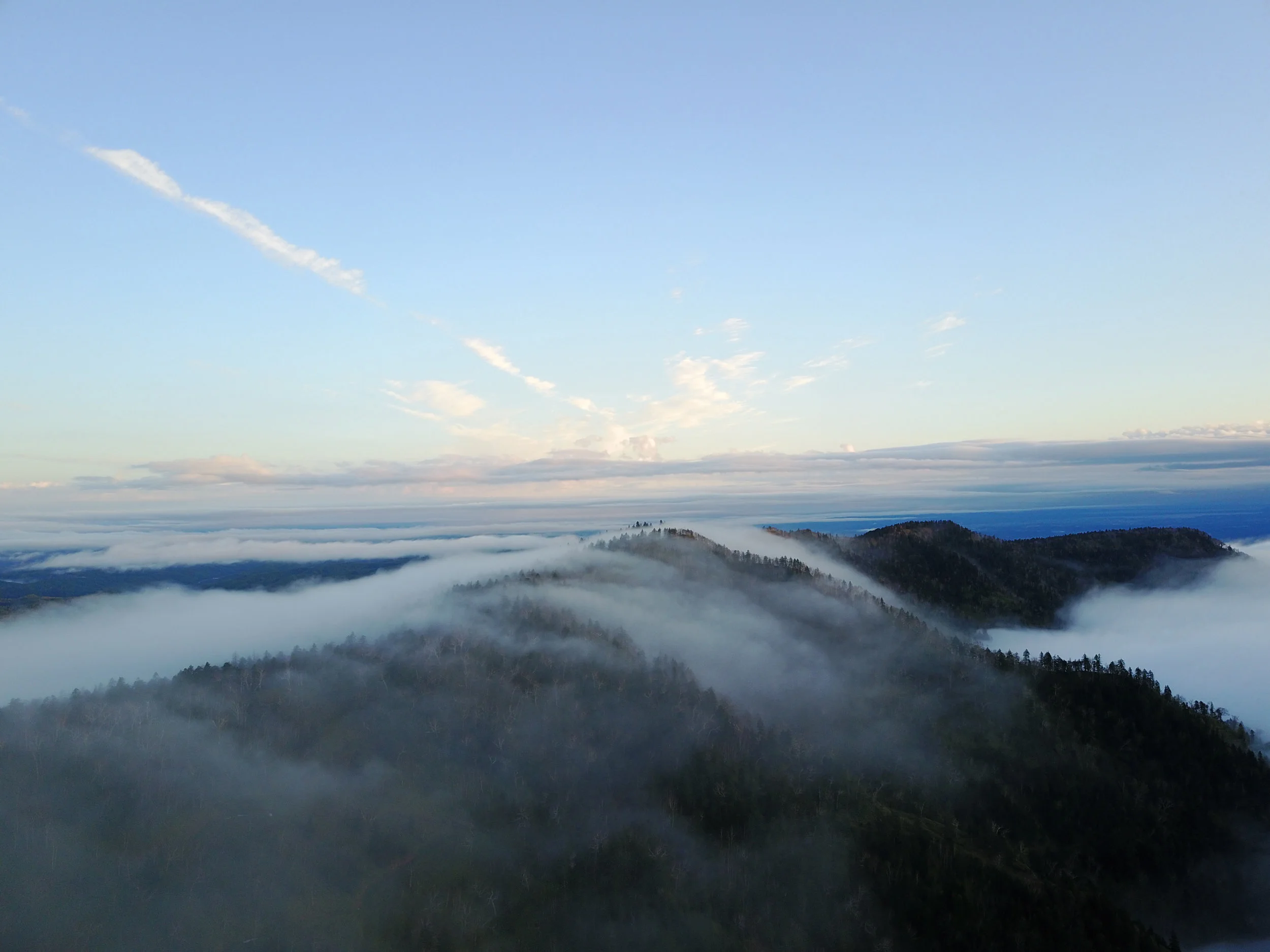 DJI_0022-1.jpg