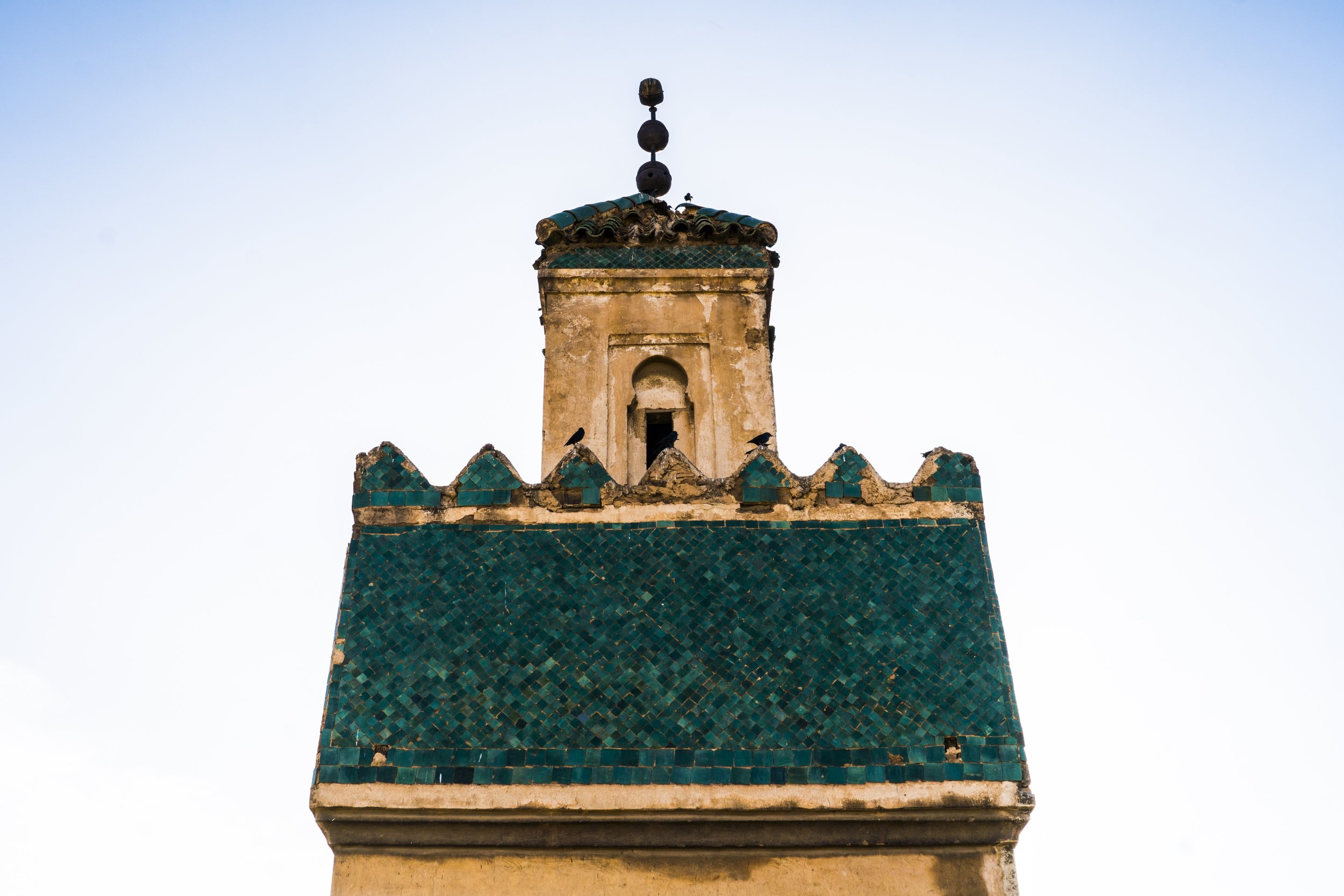 DSC07473-1.jpg