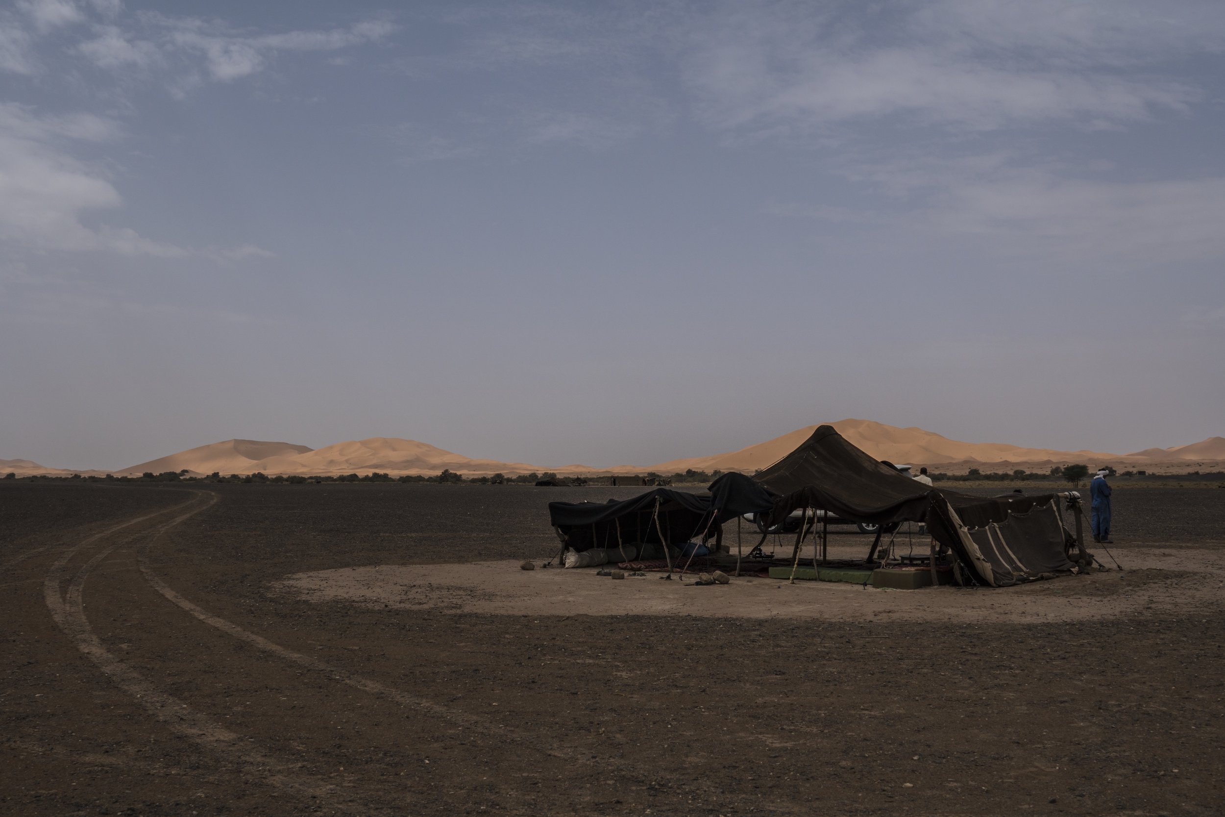 DSC07881-1.jpg