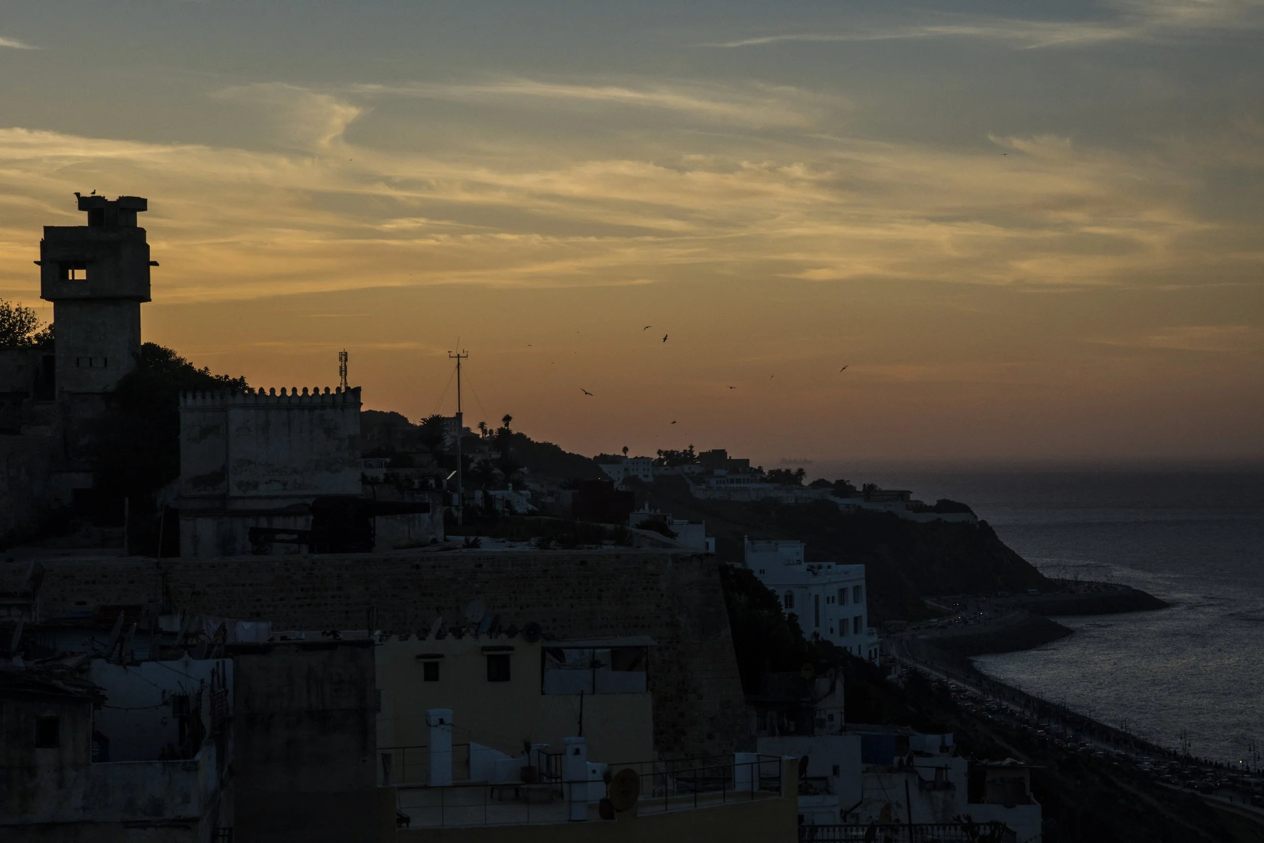DSC07382-1.jpg