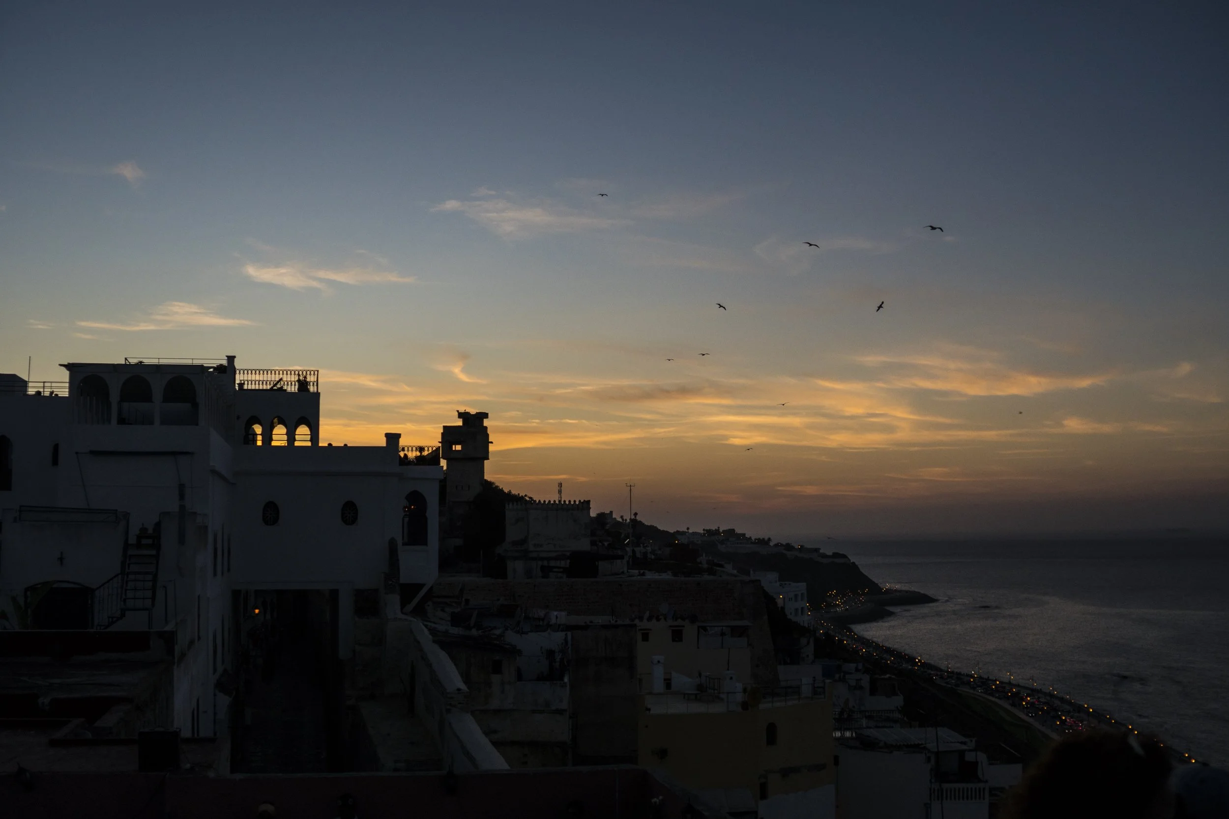 DSC07388-1.jpg