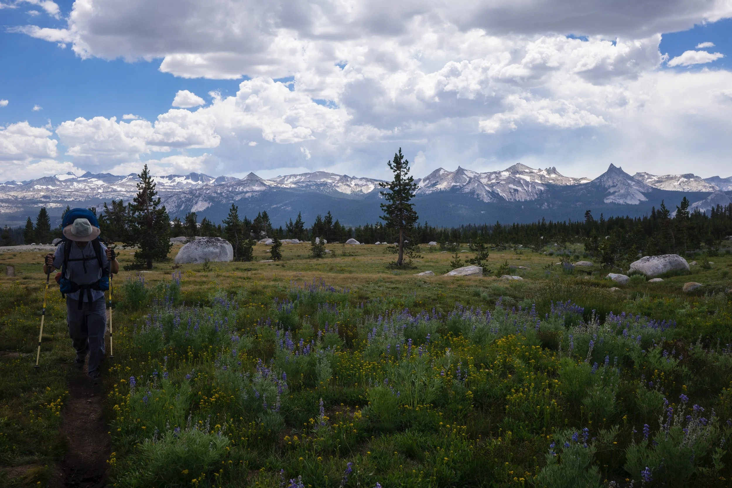 _DSC7740-1.jpg