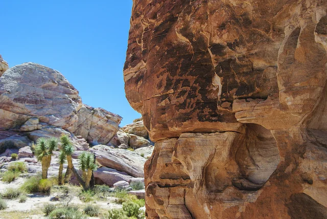Gold Butte Wilderness Petroglyph Photo: Cheryl Hobbs cc 2.0