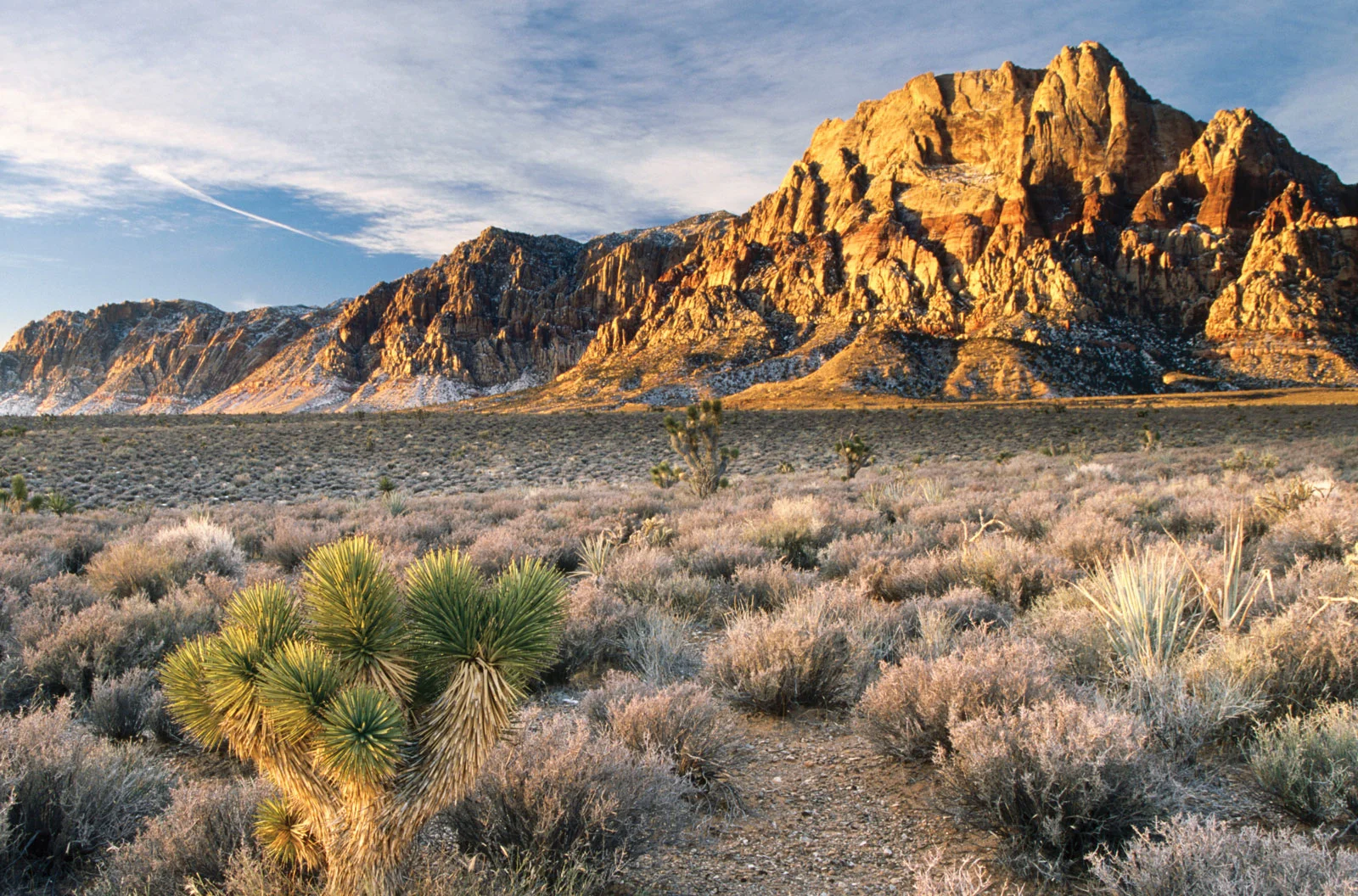 Red_Rock_Canyon.jpg